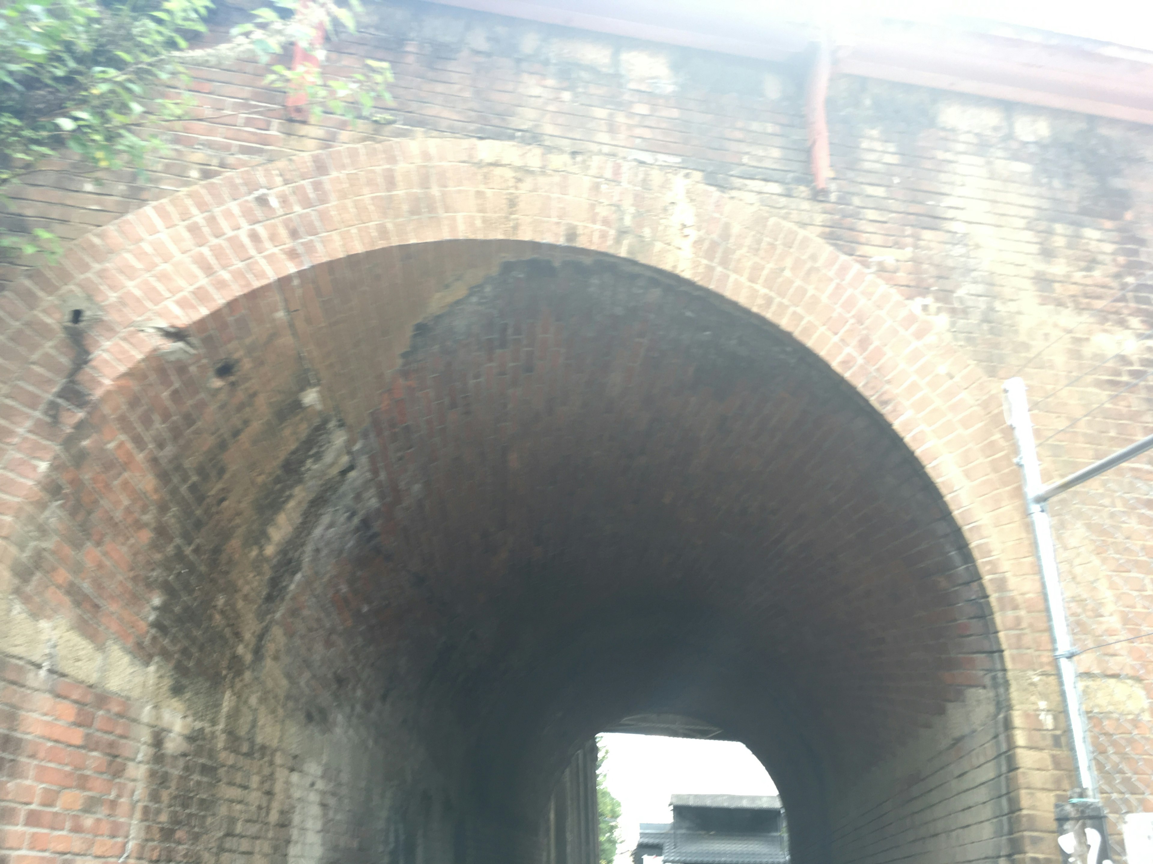 Vista interior de un viejo túnel de ladrillo en arco con plantas verdes alrededor