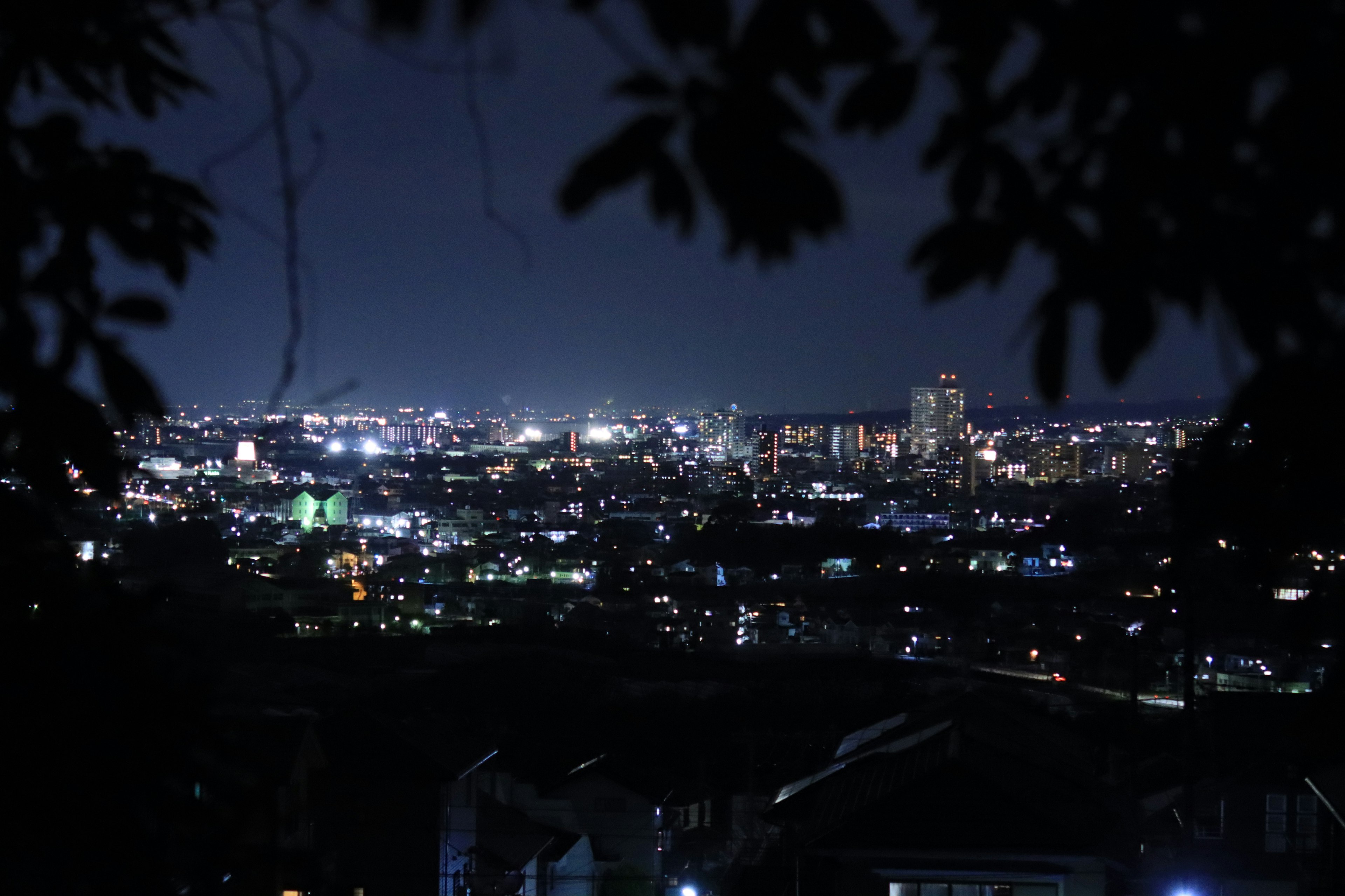 Vista notturna di uno skyline urbano illuminato da luci