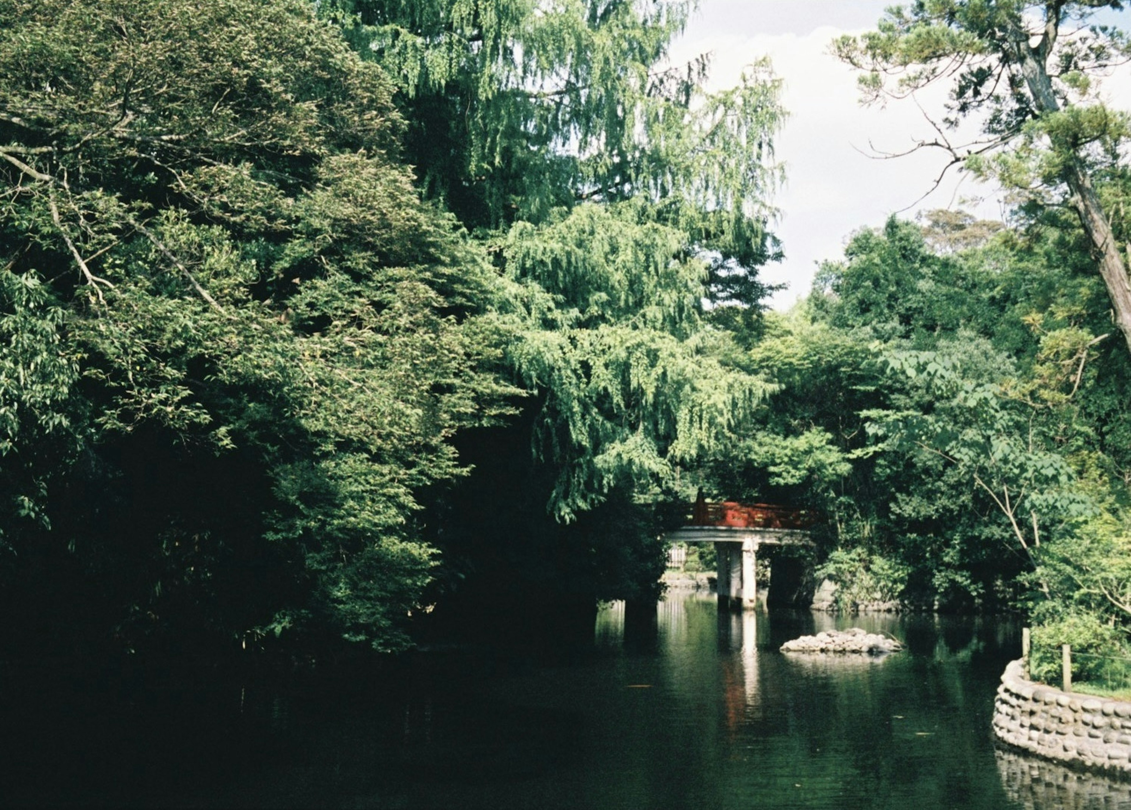 Tranquil riverside scene surrounded by lush greenery with a red bridge