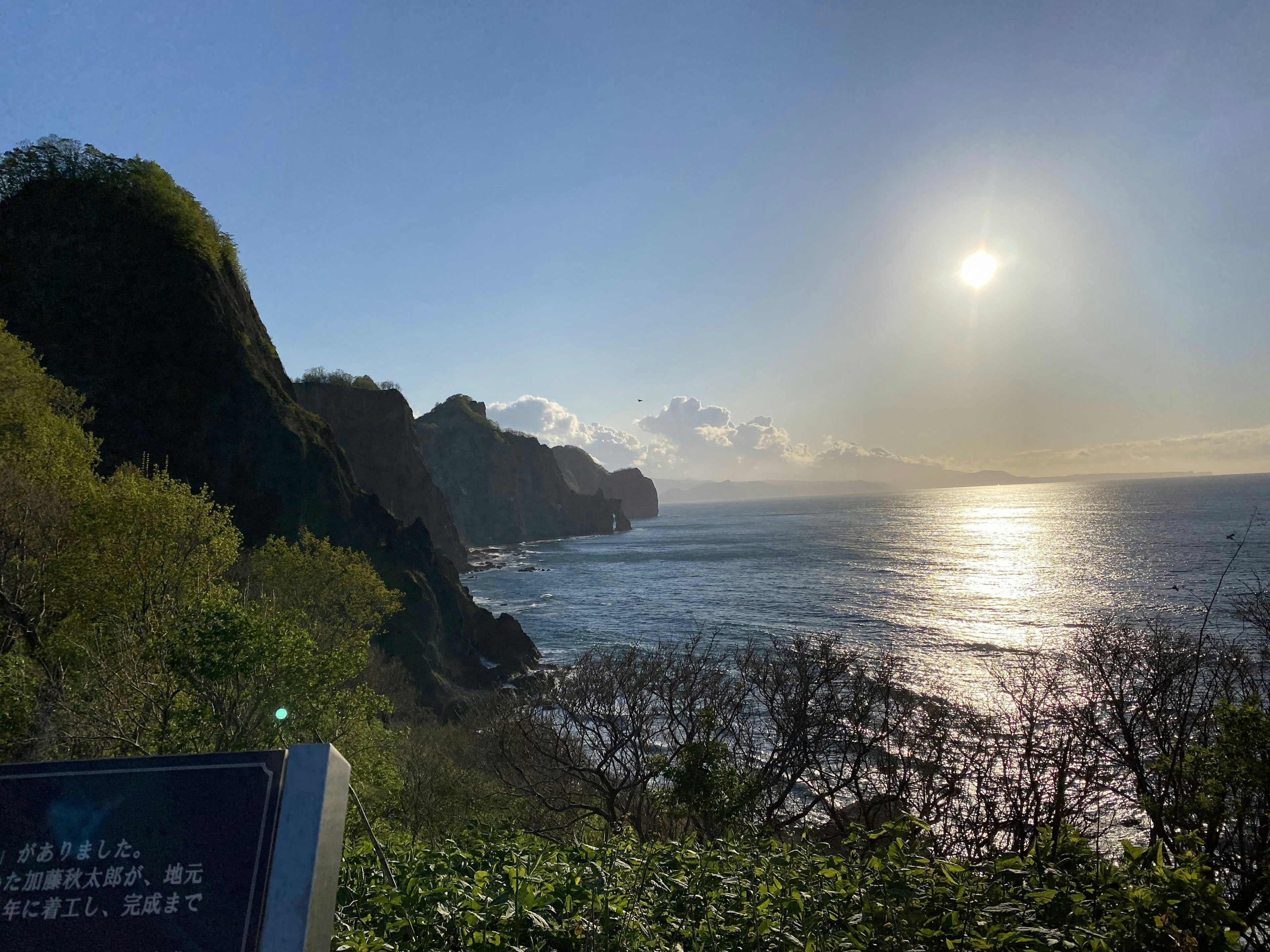 美しい海岸線と太陽の光が反射する海の景色