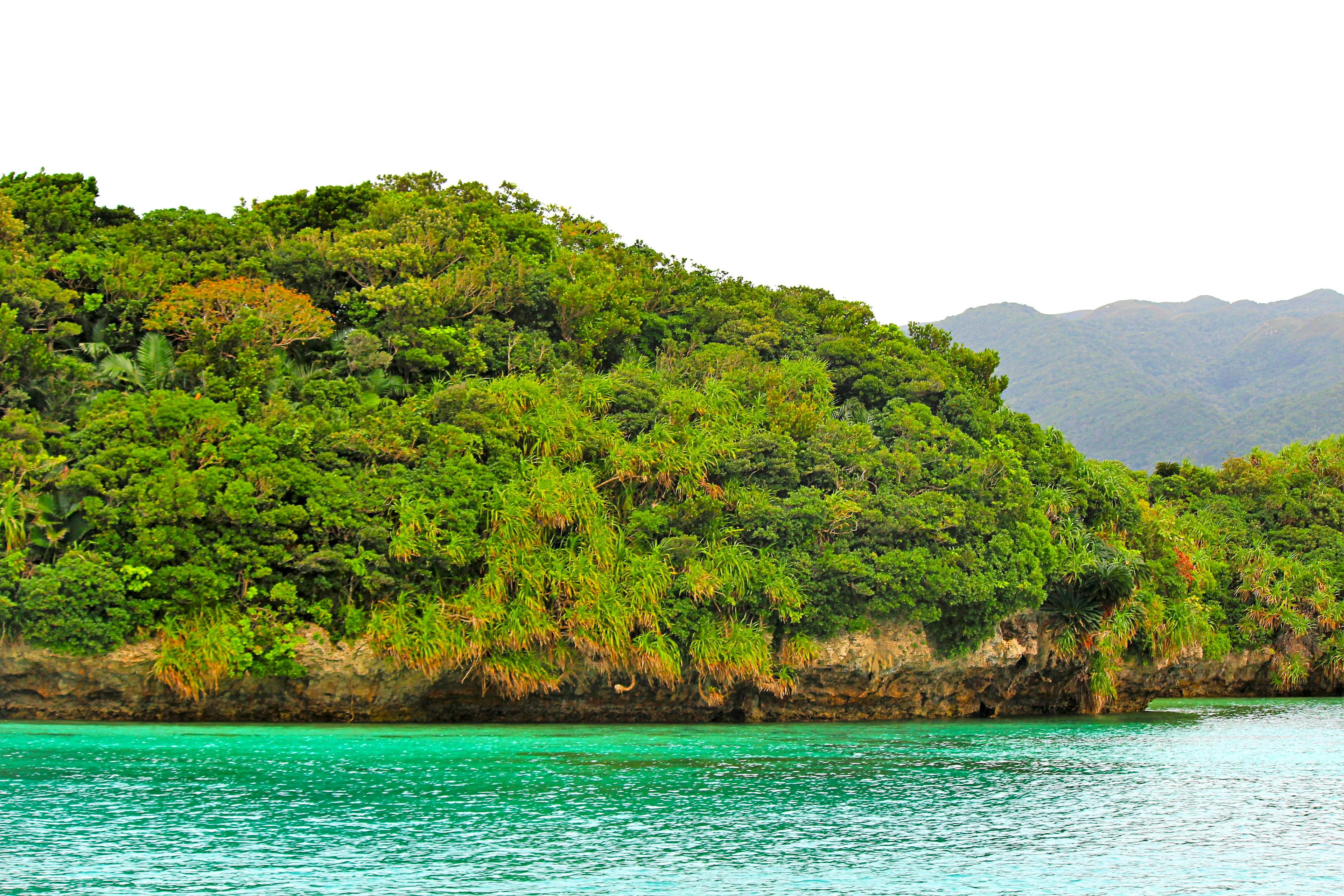 Paysage d'île verdoyante entouré d'eau turquoise