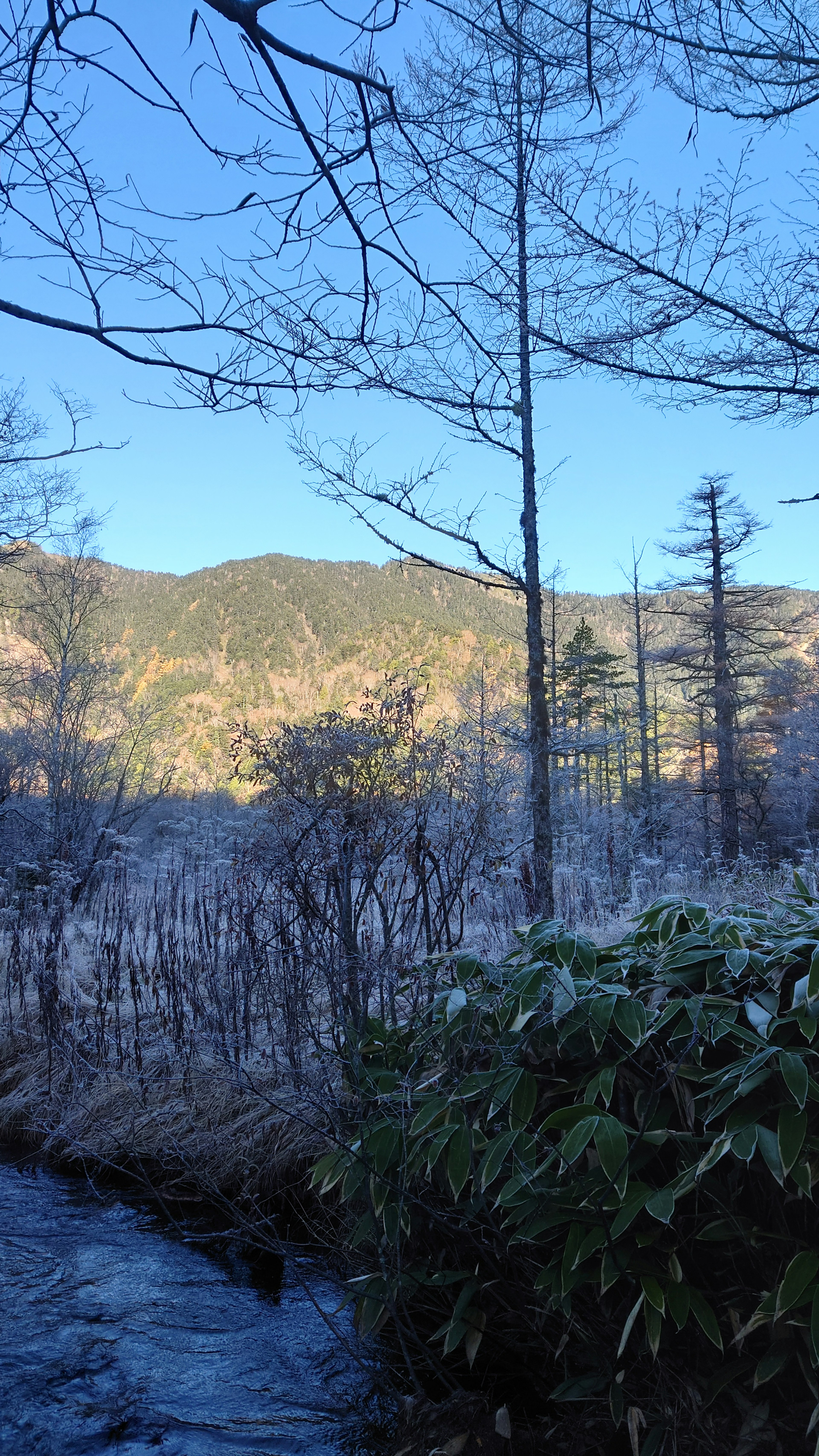 Winter landscape with blue sky and mountains in the background