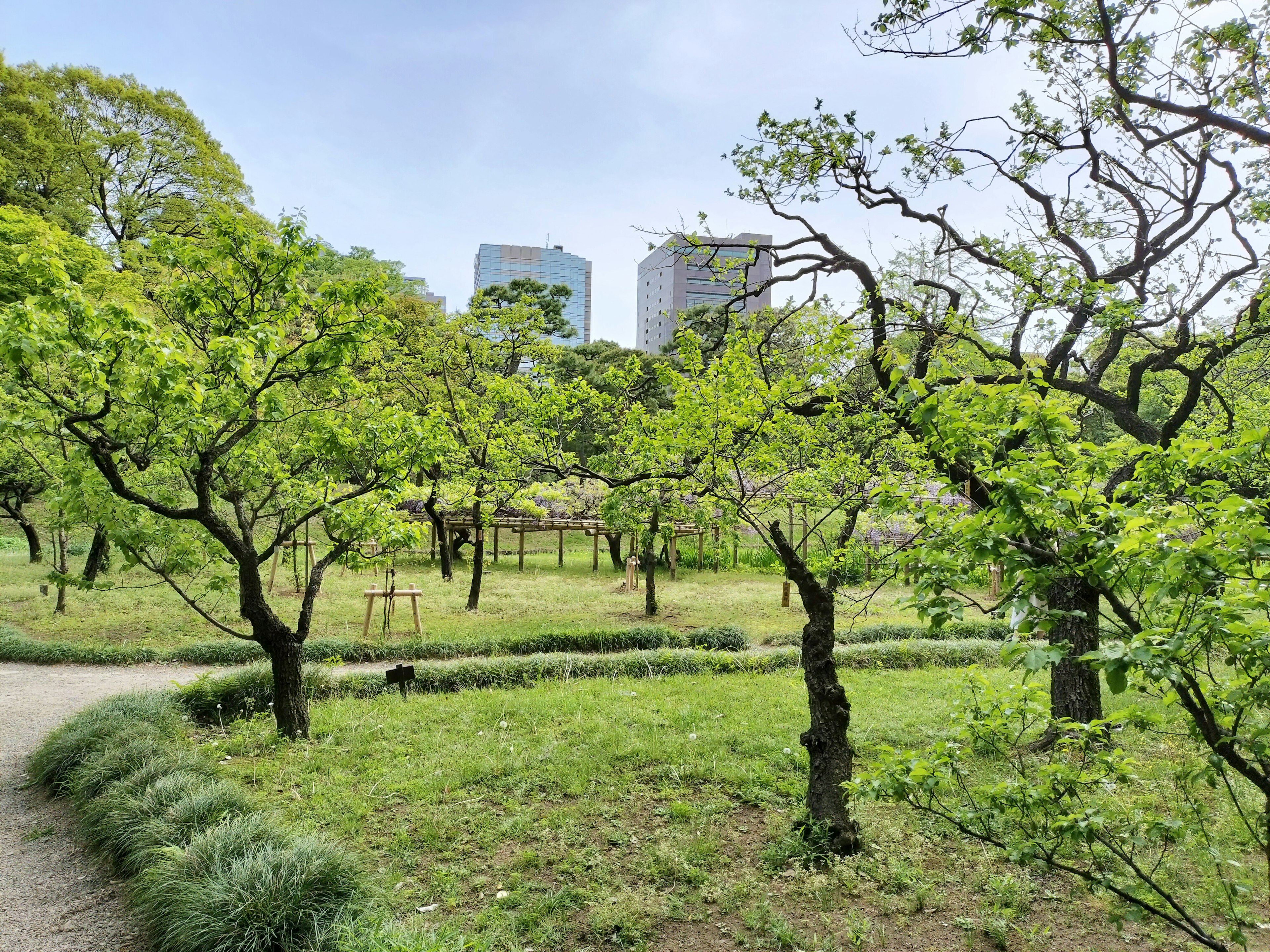 Paisaje de parque verde con rascacielos de fondo