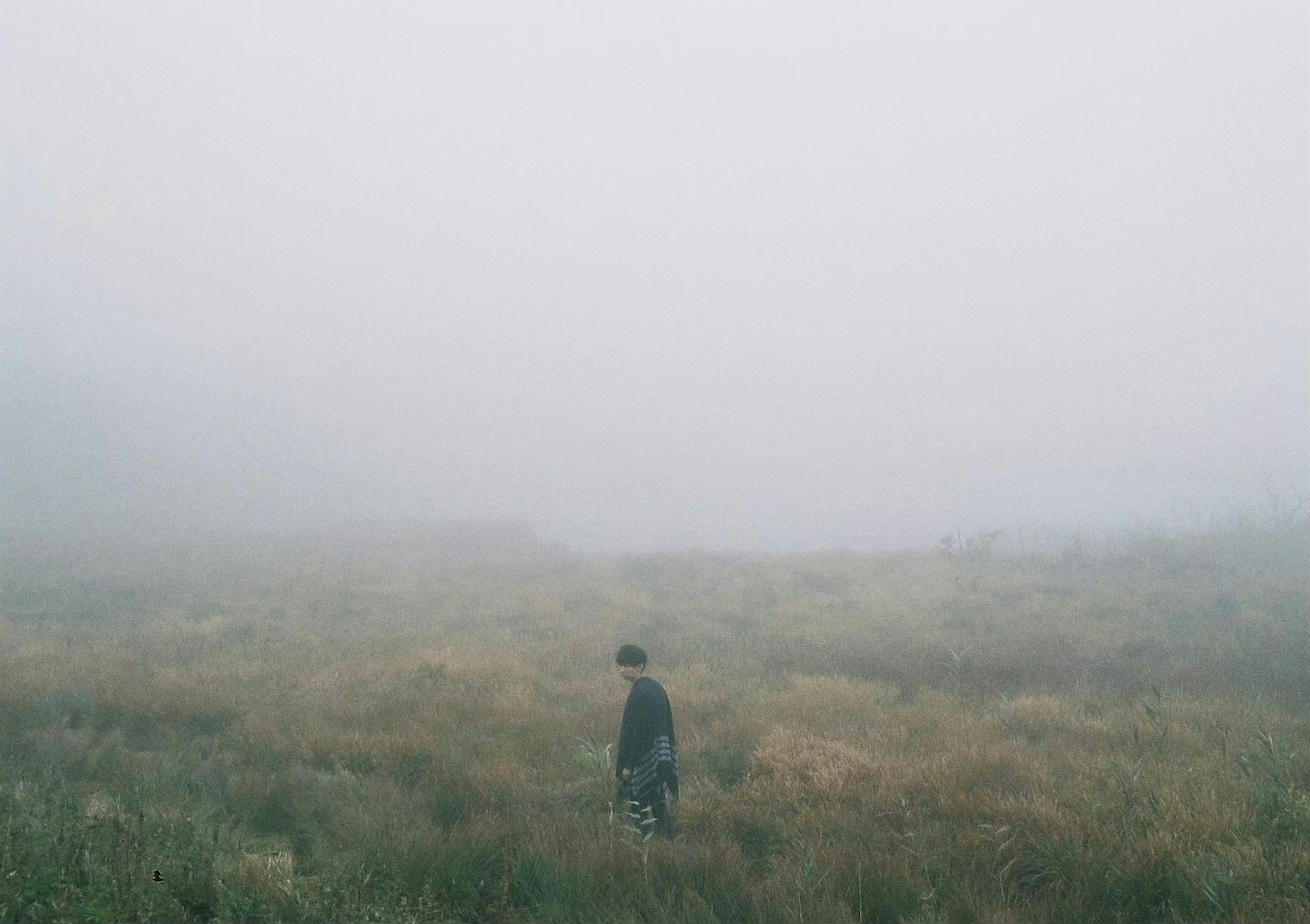 Une personne marchant dans une prairie brumeuse avec de l'herbe haute