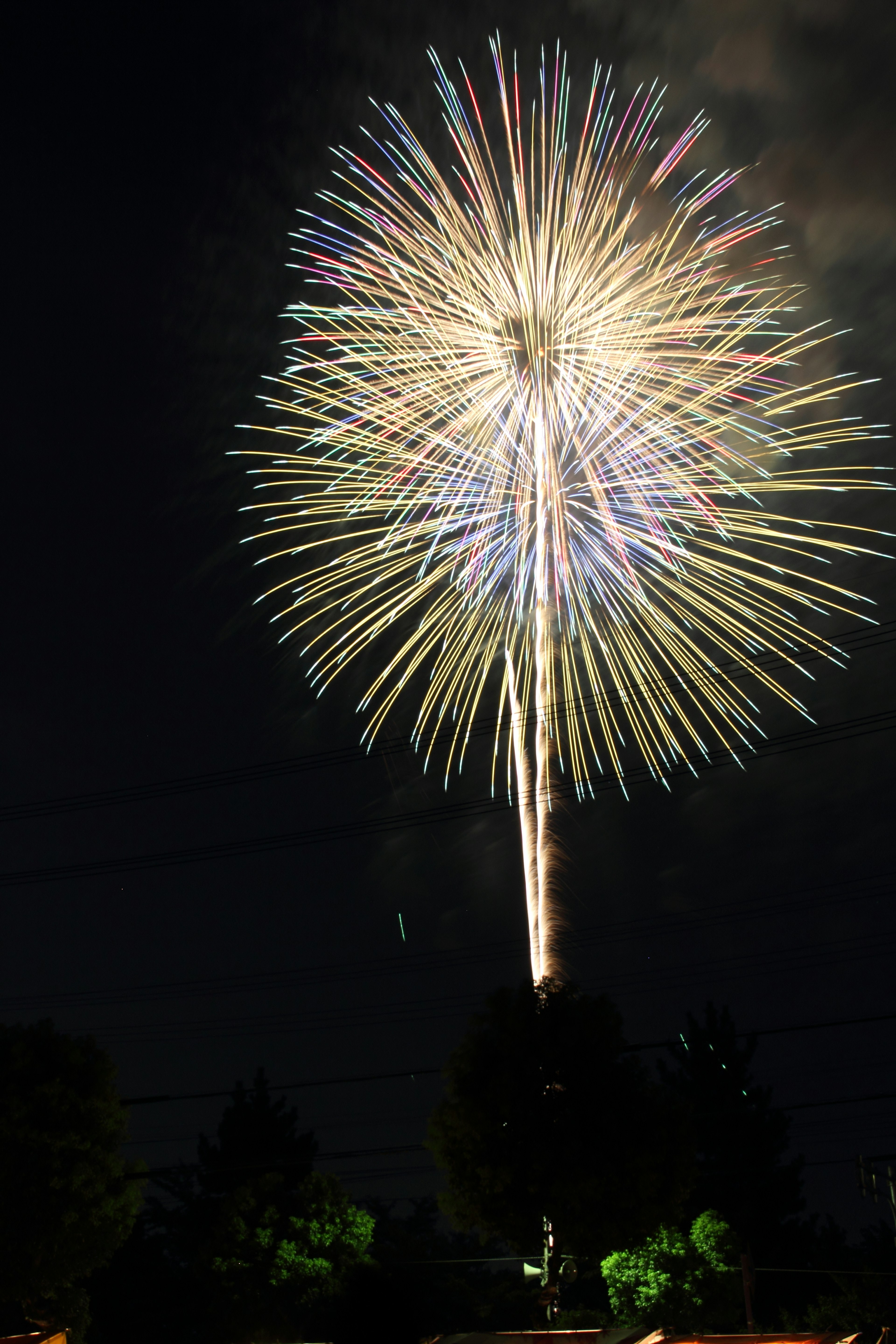 Colorful fireworks exploding in the night sky