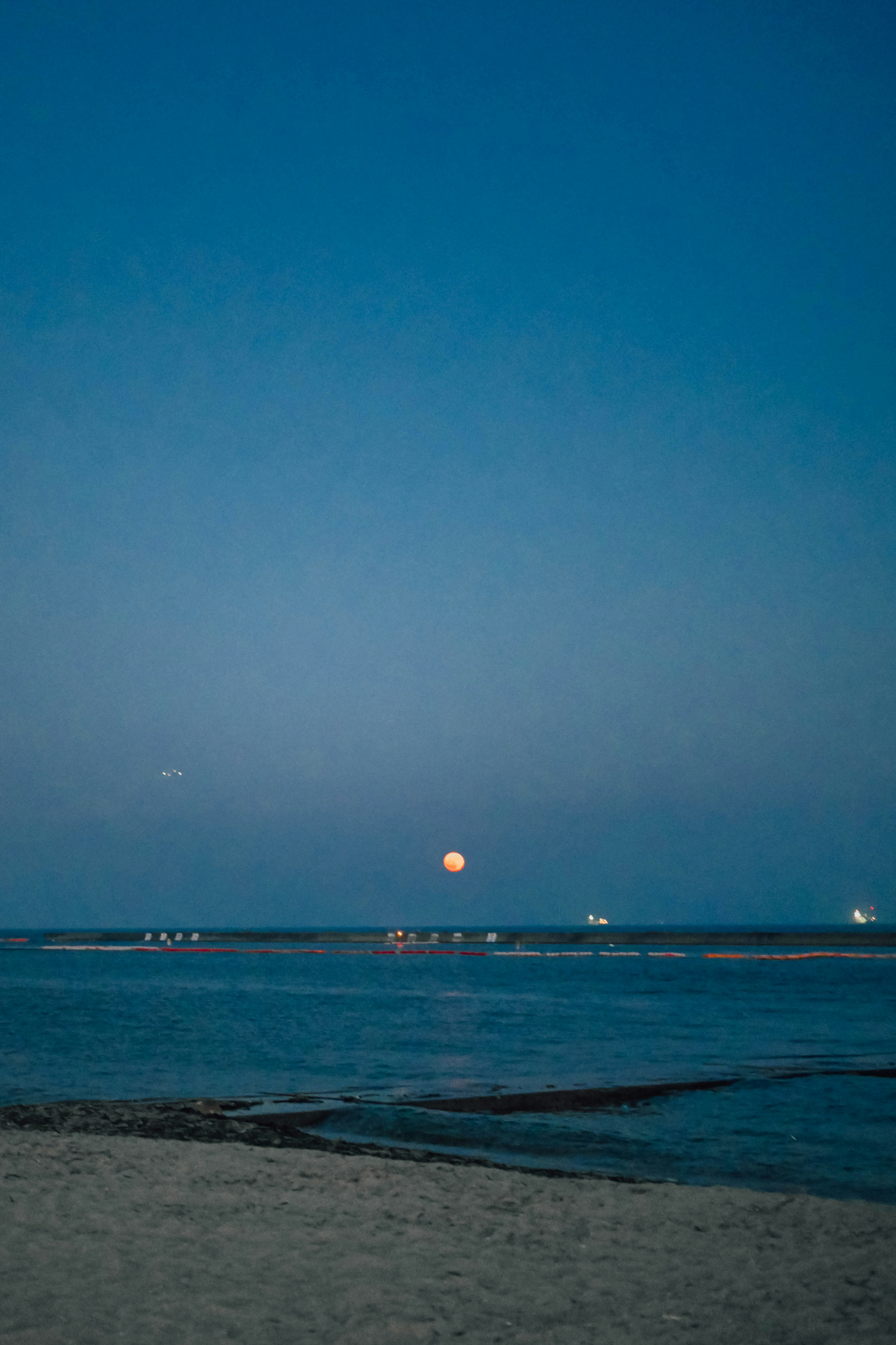 Night sky with ocean and moonlight