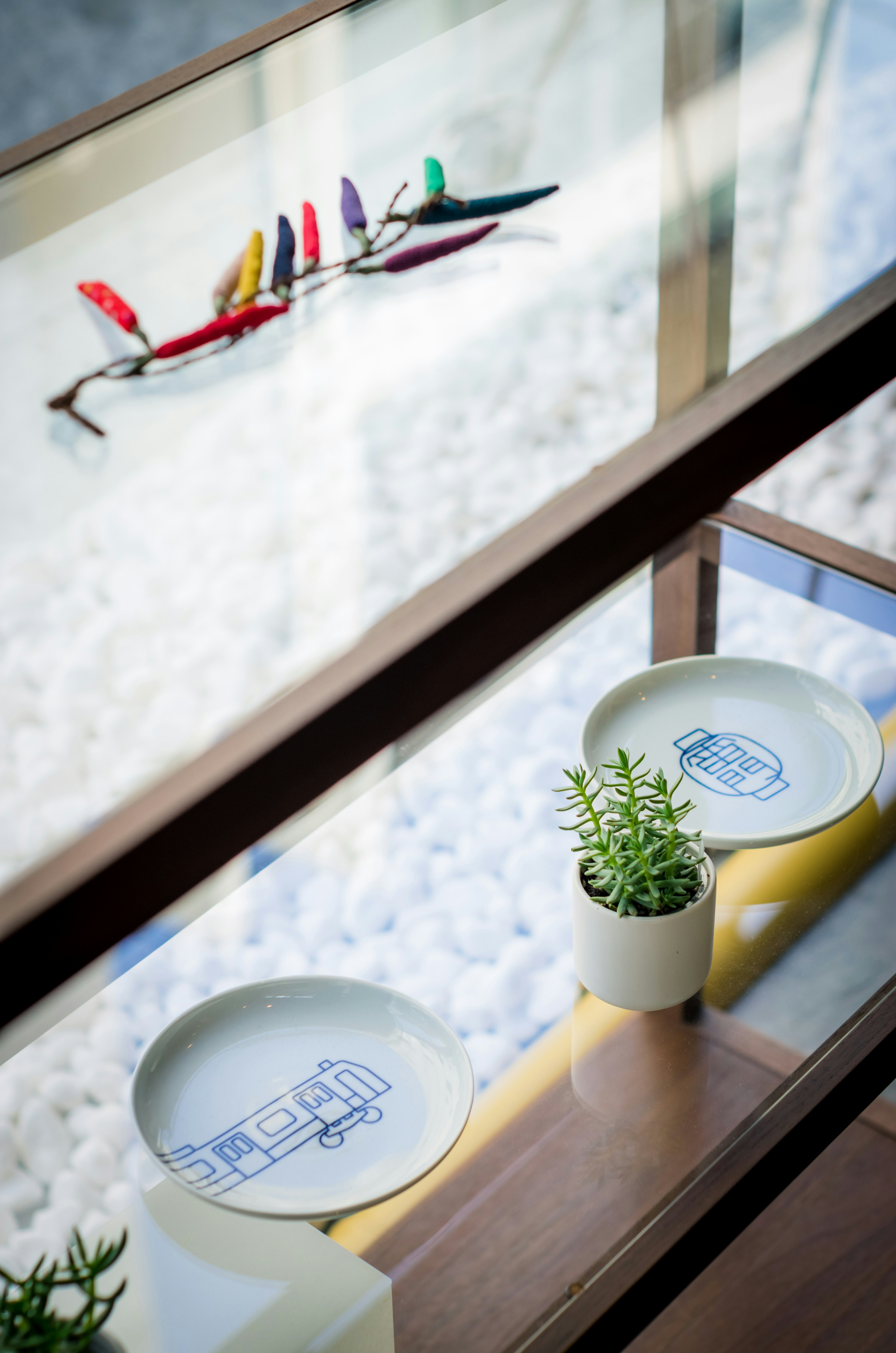 Colorful pens displayed on glass shelf alongside decorative plates and a small plant