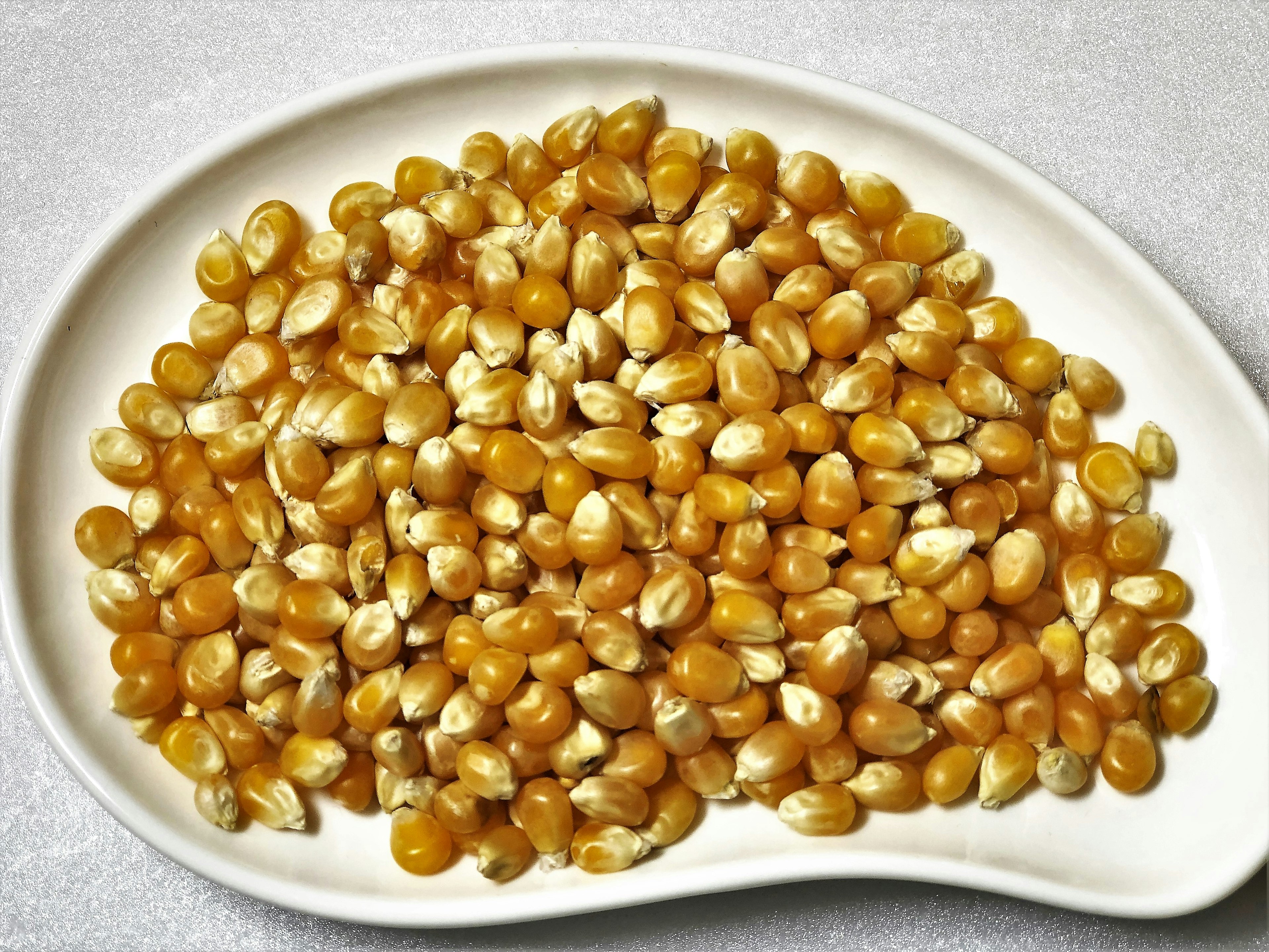 Grains de maïs disposés sur un plat blanc