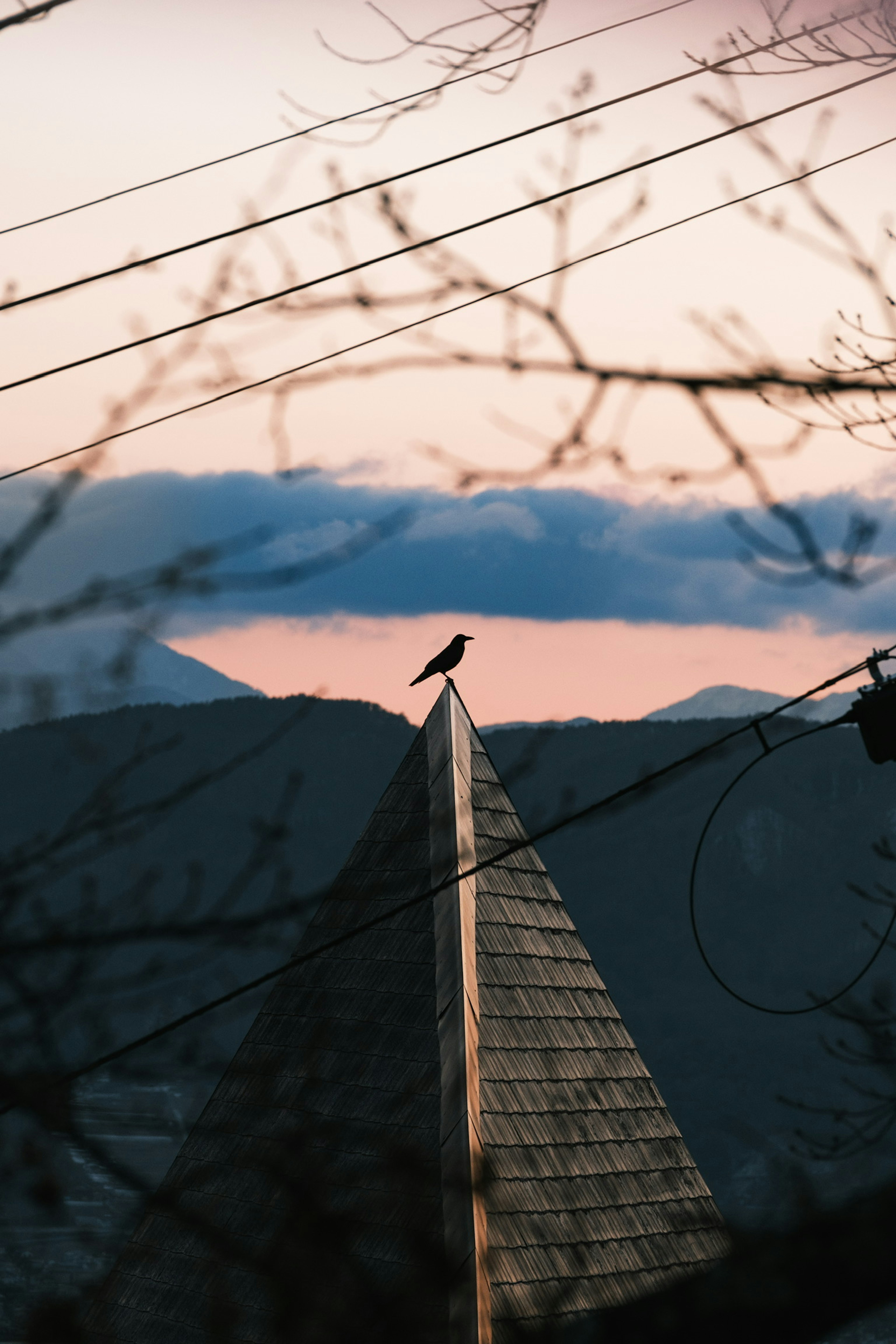 Vogel auf einem Berggipfel mit Sonnenuntergang im Hintergrund