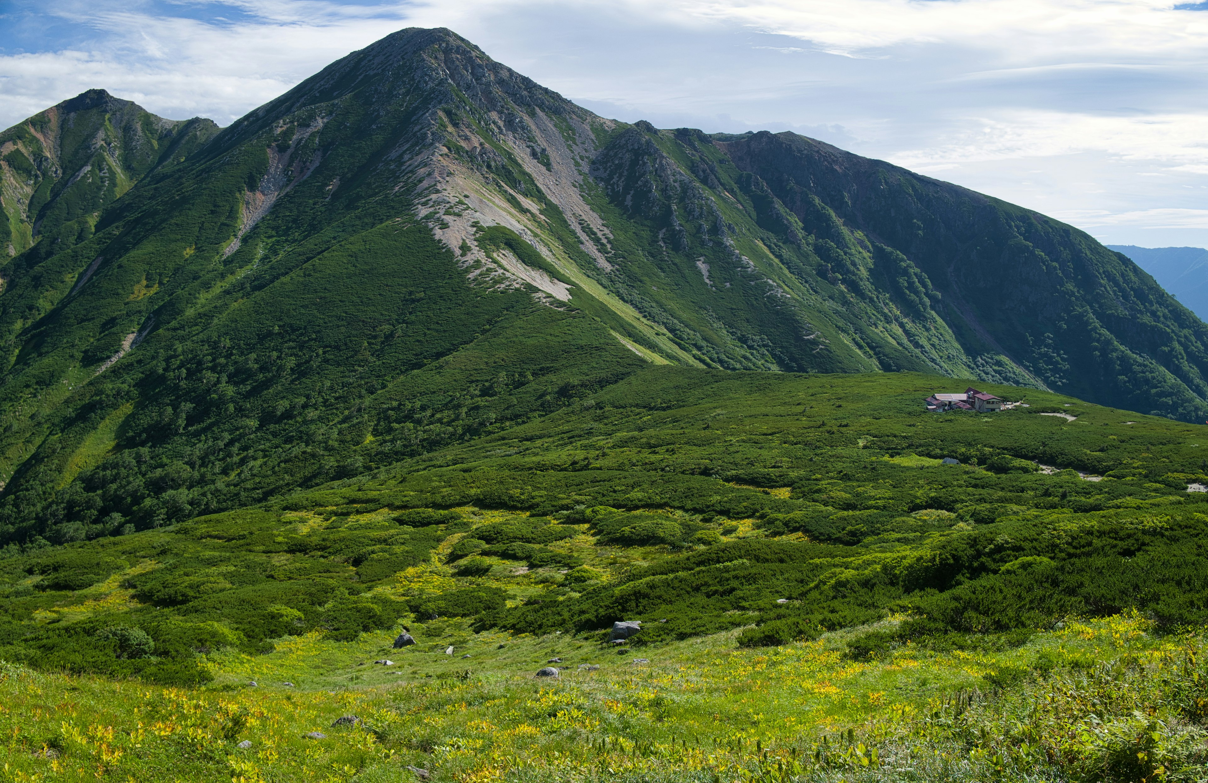 Paesaggio montano verdeggiante con ampie praterie