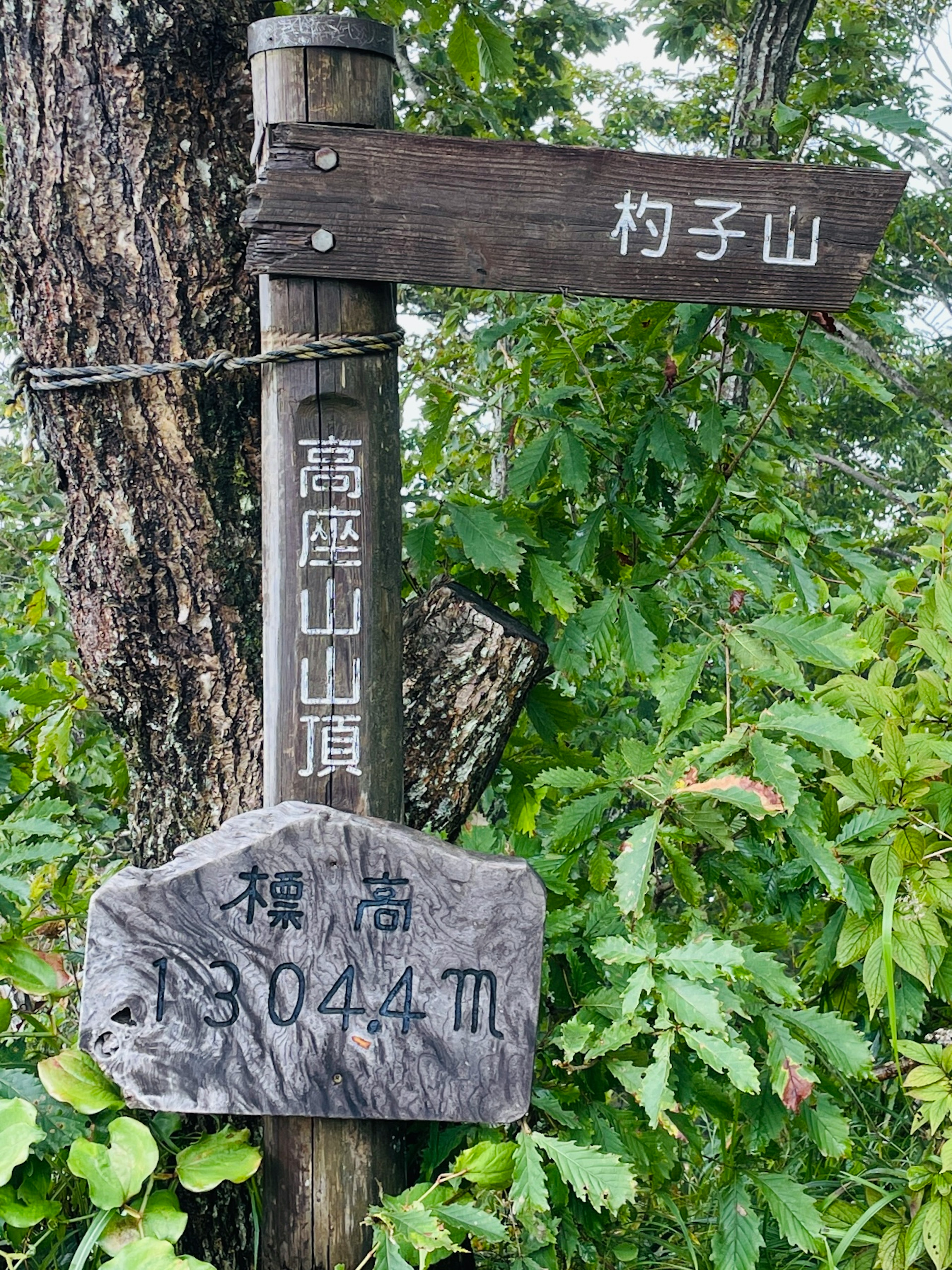 A wooden signpost near a tree displaying the names of Sugimori Mountain and Karako Mountain