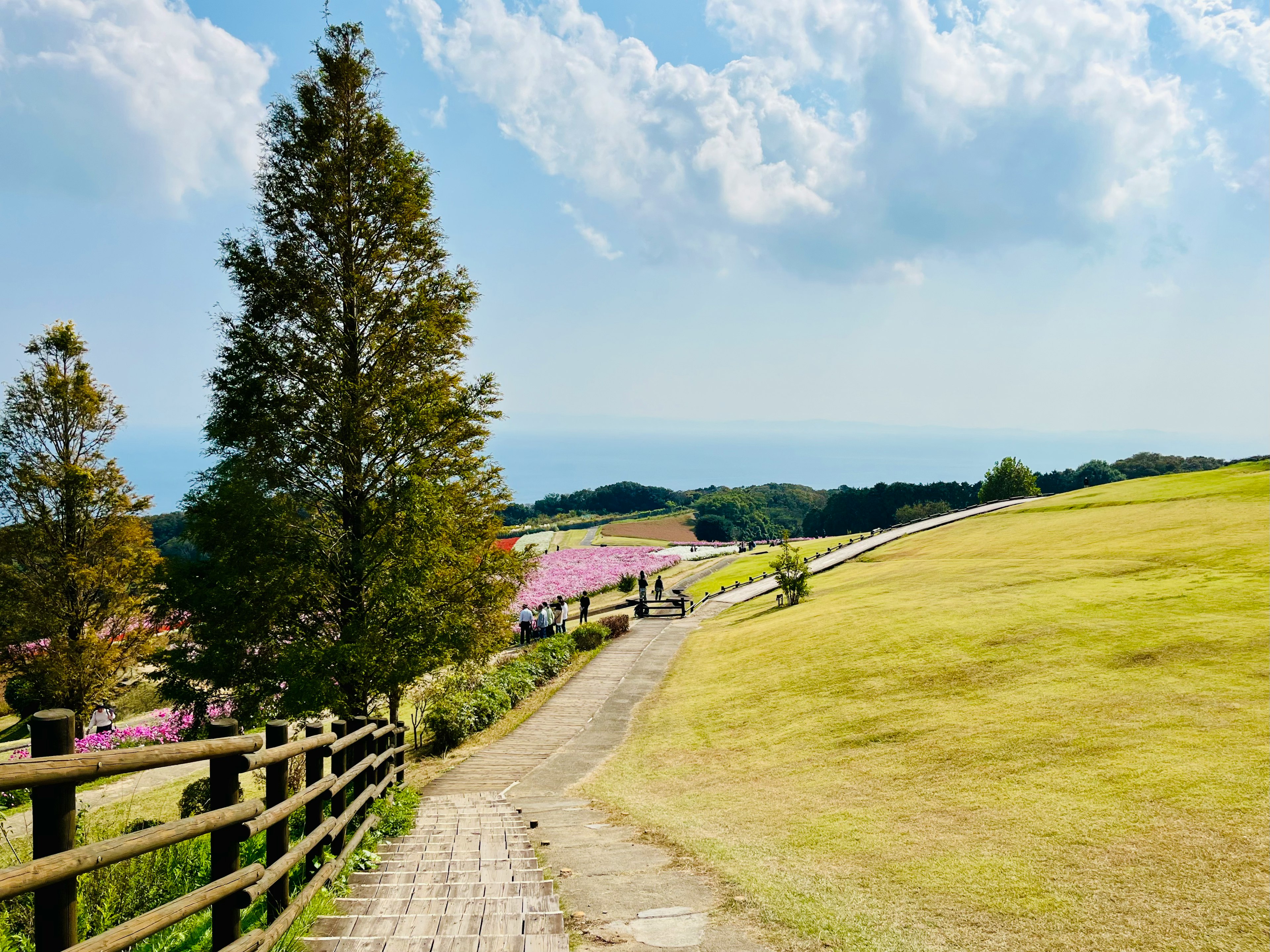 Paved path winding through green fields and trees with a view of the sea in the distance