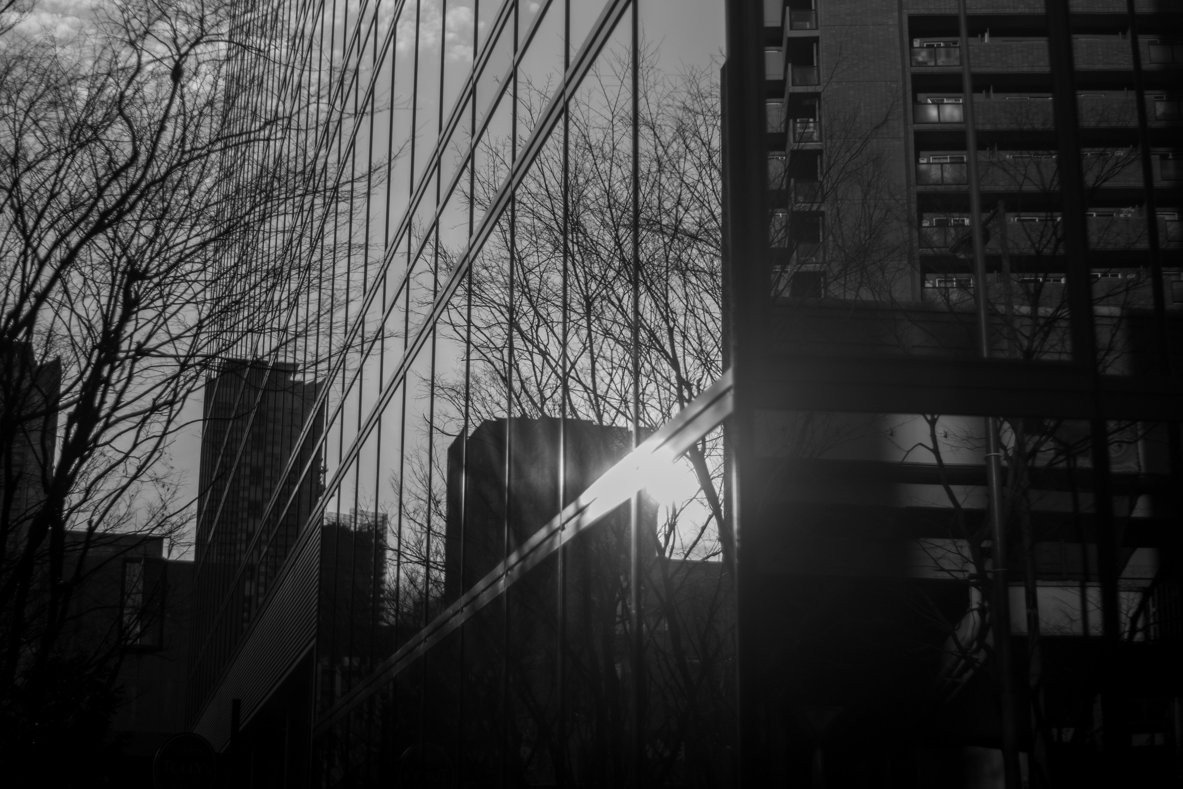 Monochrome cityscape featuring building reflections and silhouetted trees