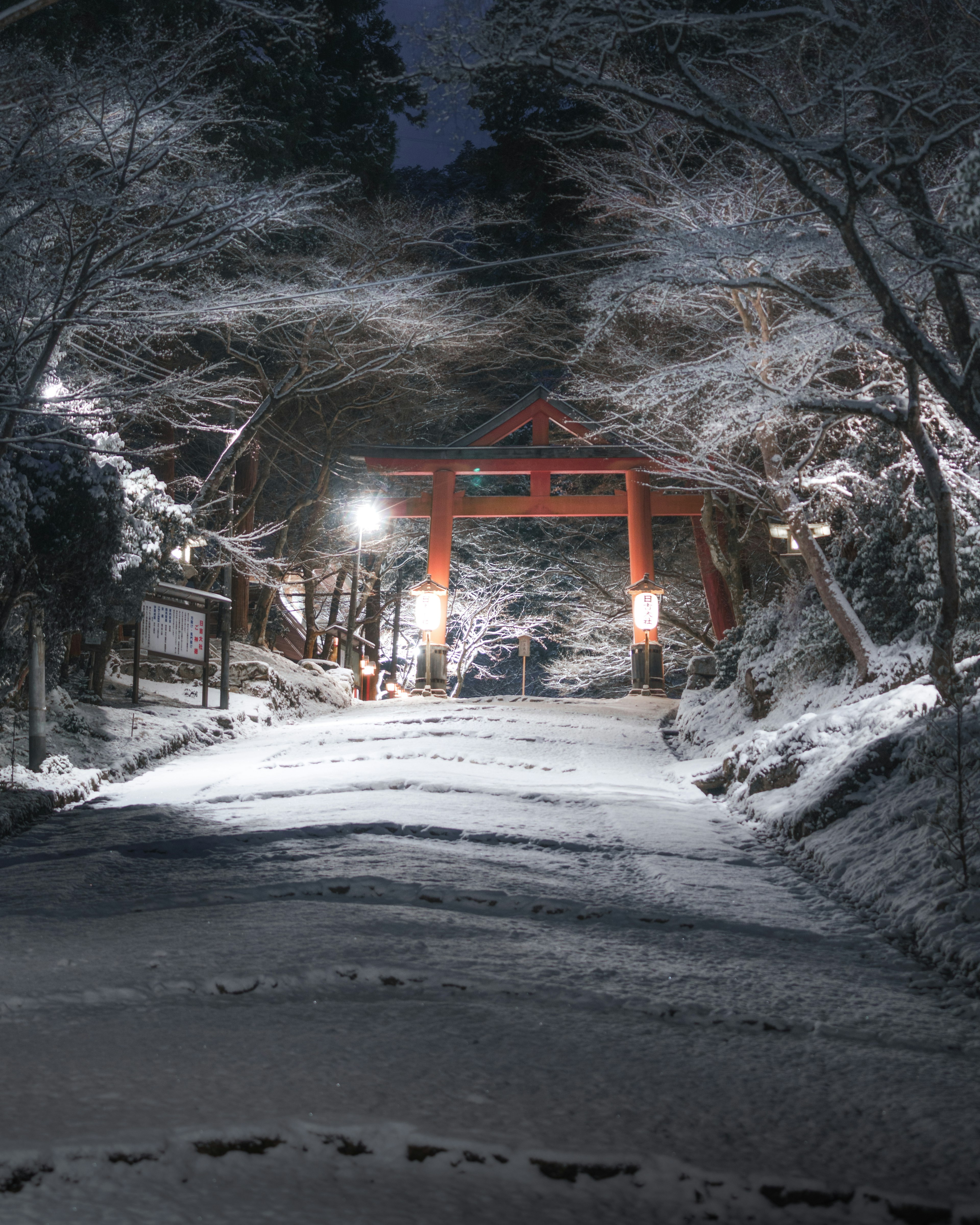 Camino cubierto de nieve que lleva a una puerta torii roja por la noche