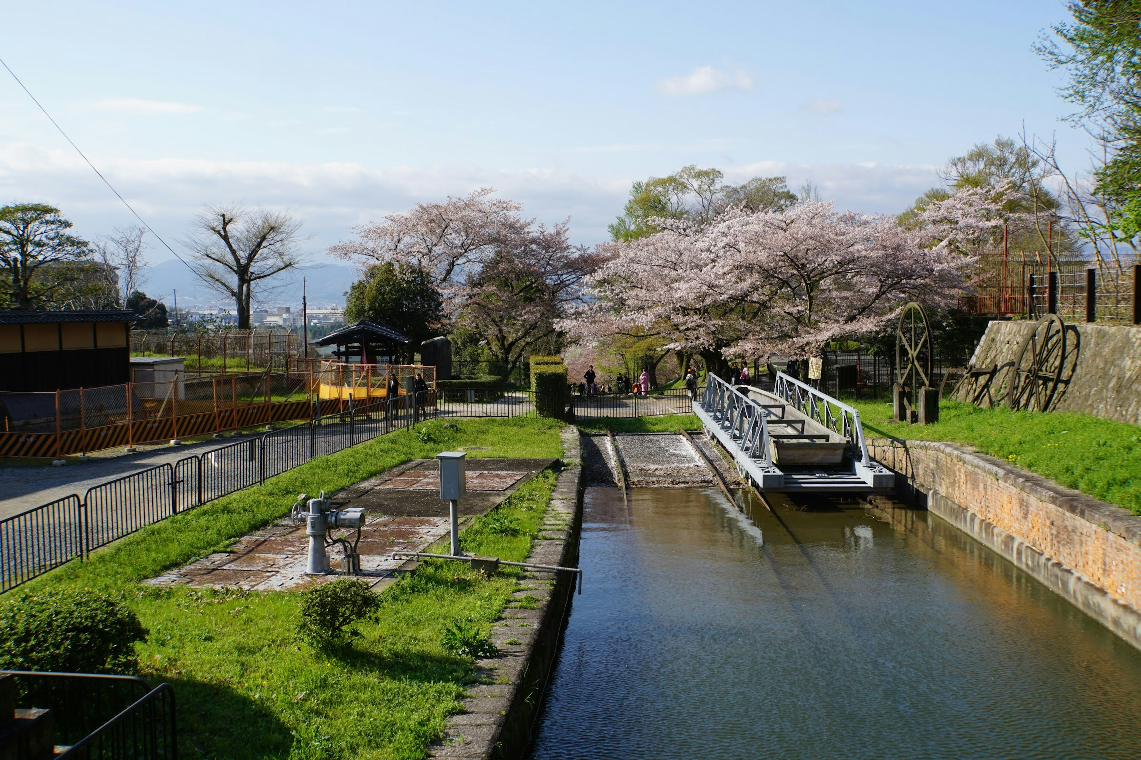 Japanese landscape featuring cherry blossom trees and a canal