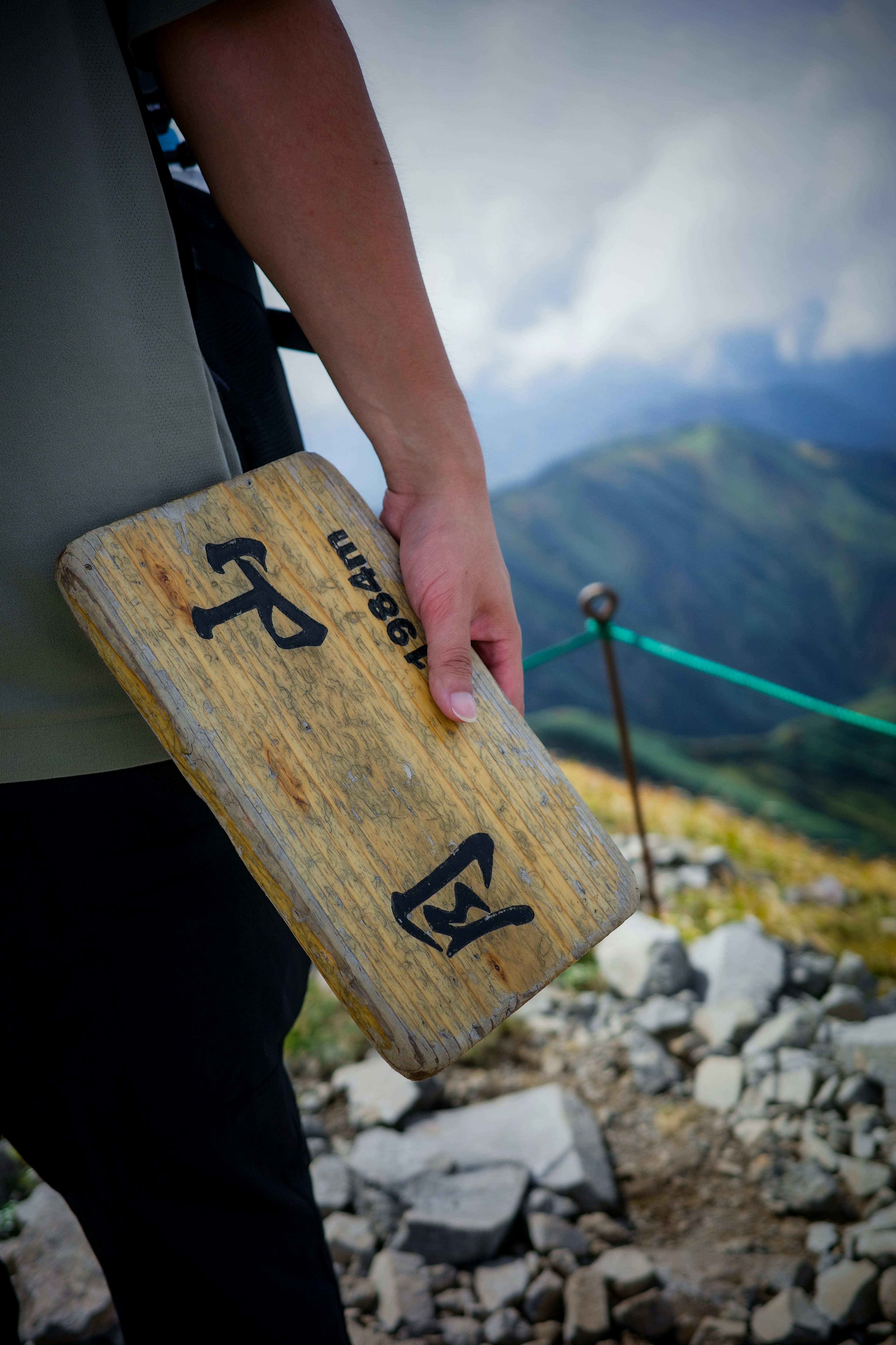 Une personne tenant une planche en bois avec des inscriptions devant un paysage montagneux