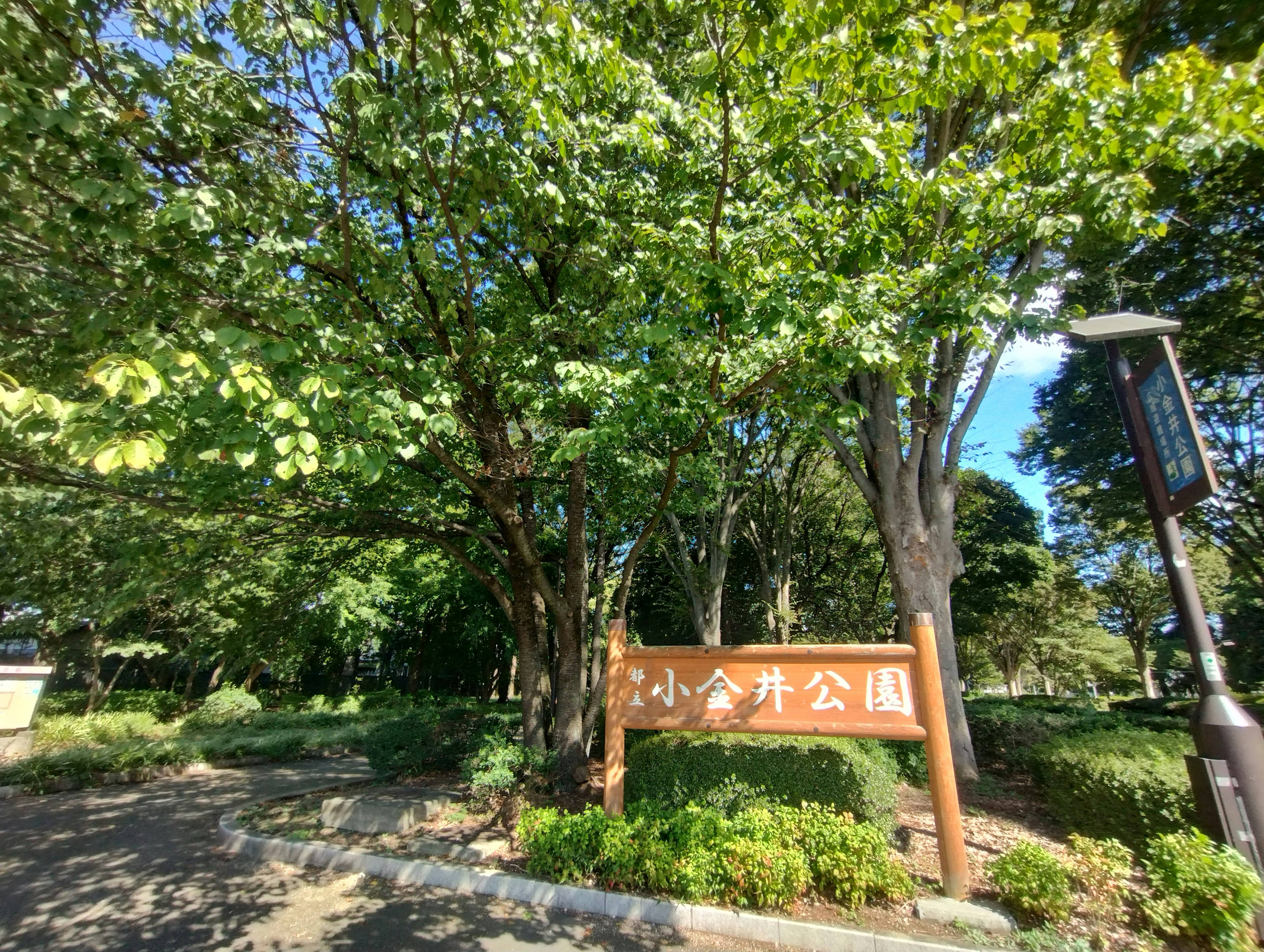 Panneau du parc Koganei entouré d'arbres