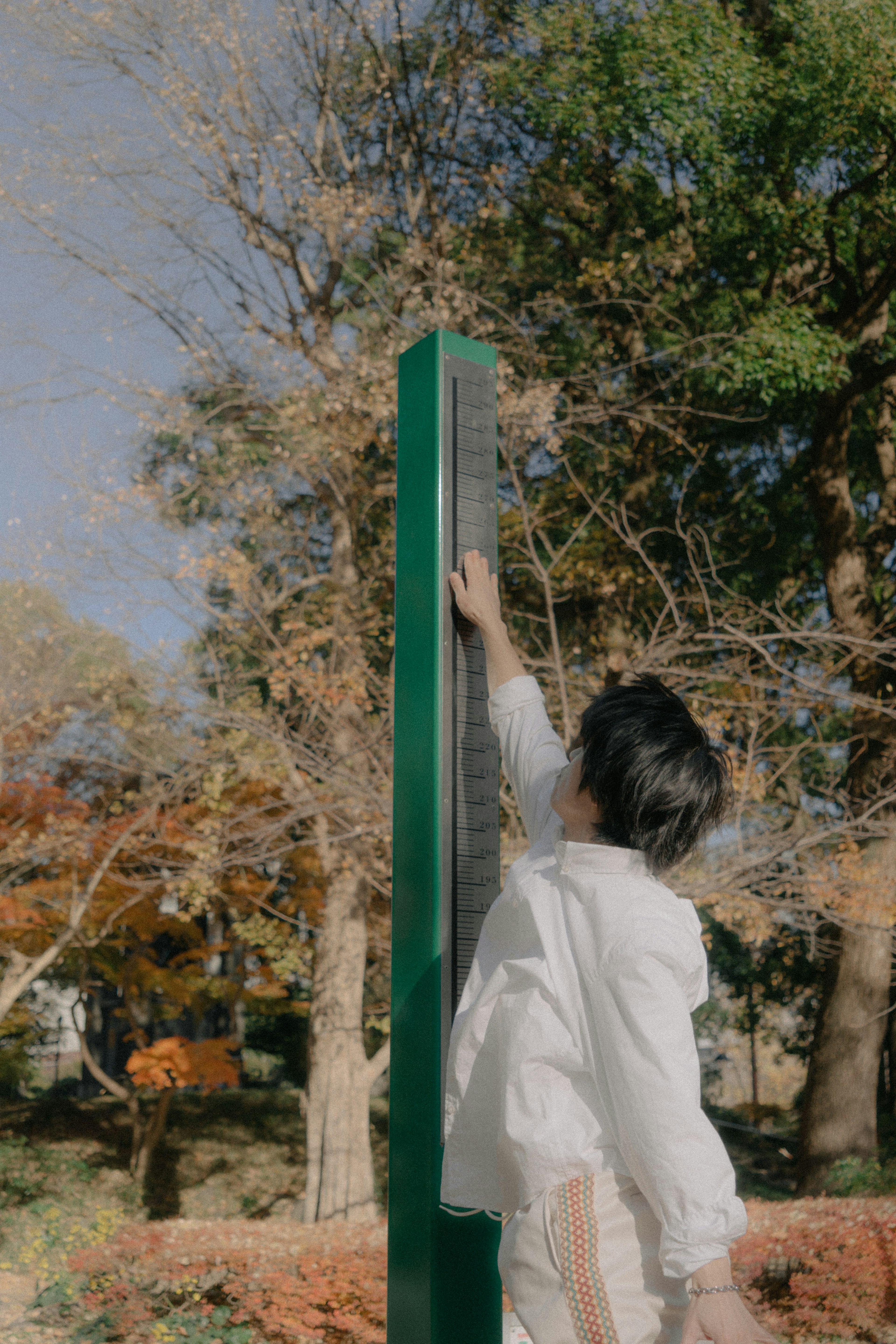 公園で緑の柱に手を伸ばす人物の写真