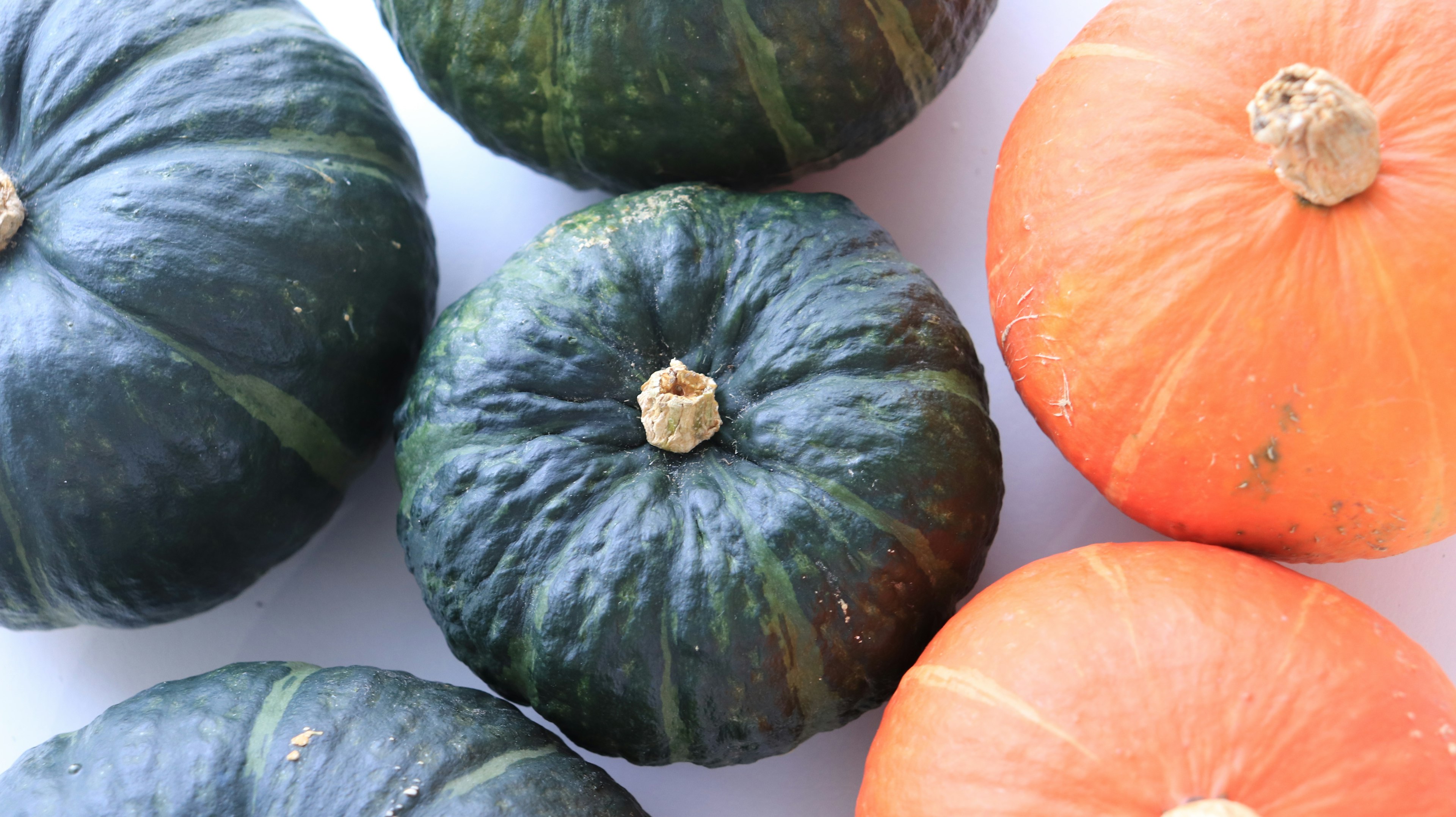 Various pumpkins in different colors and shapes arranged together