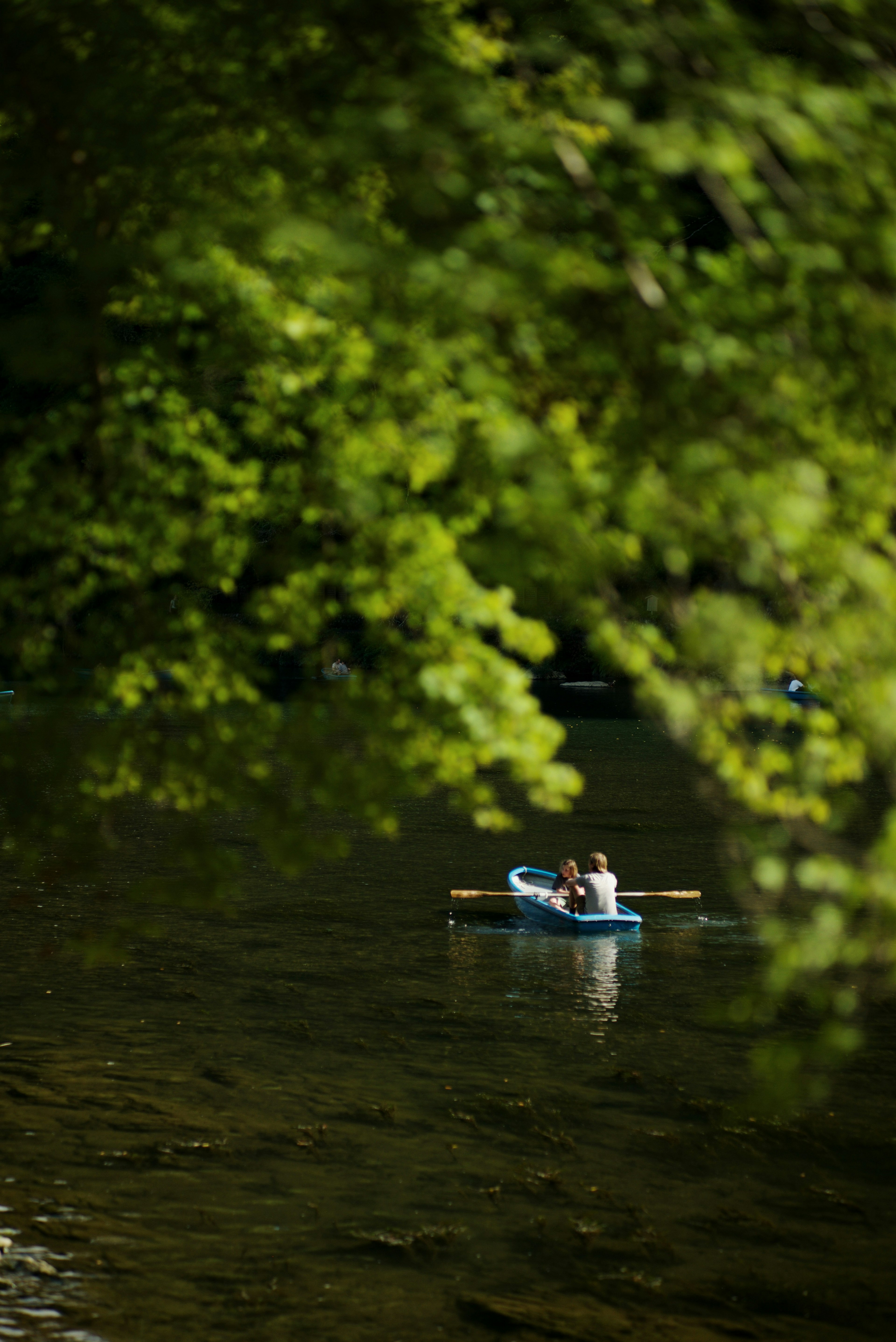 Persona en kayak en un río rodeado de árboles verdes exuberantes