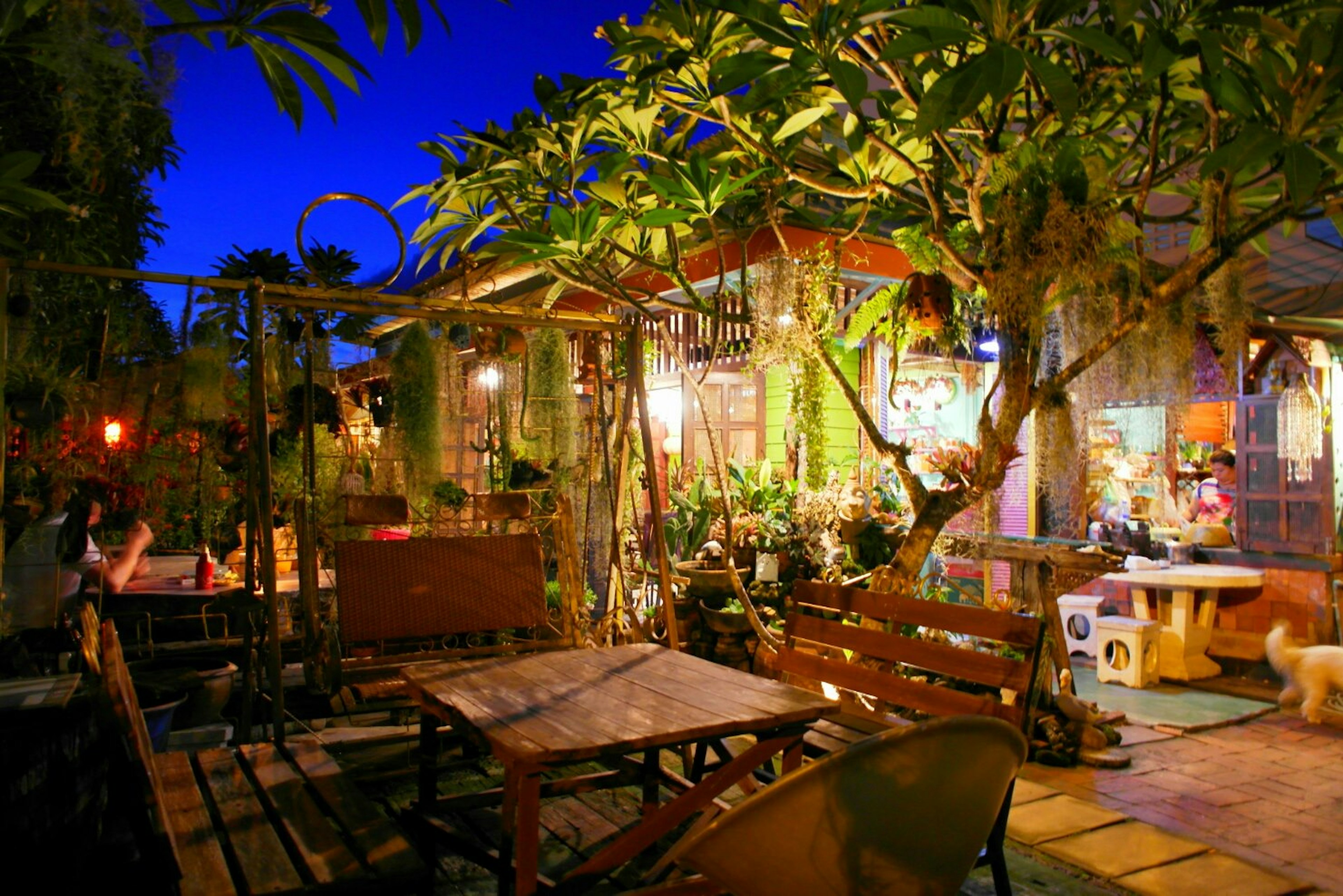 Café confortable entouré de verdure la nuit avec des tables en bois et des plantes vibrantes