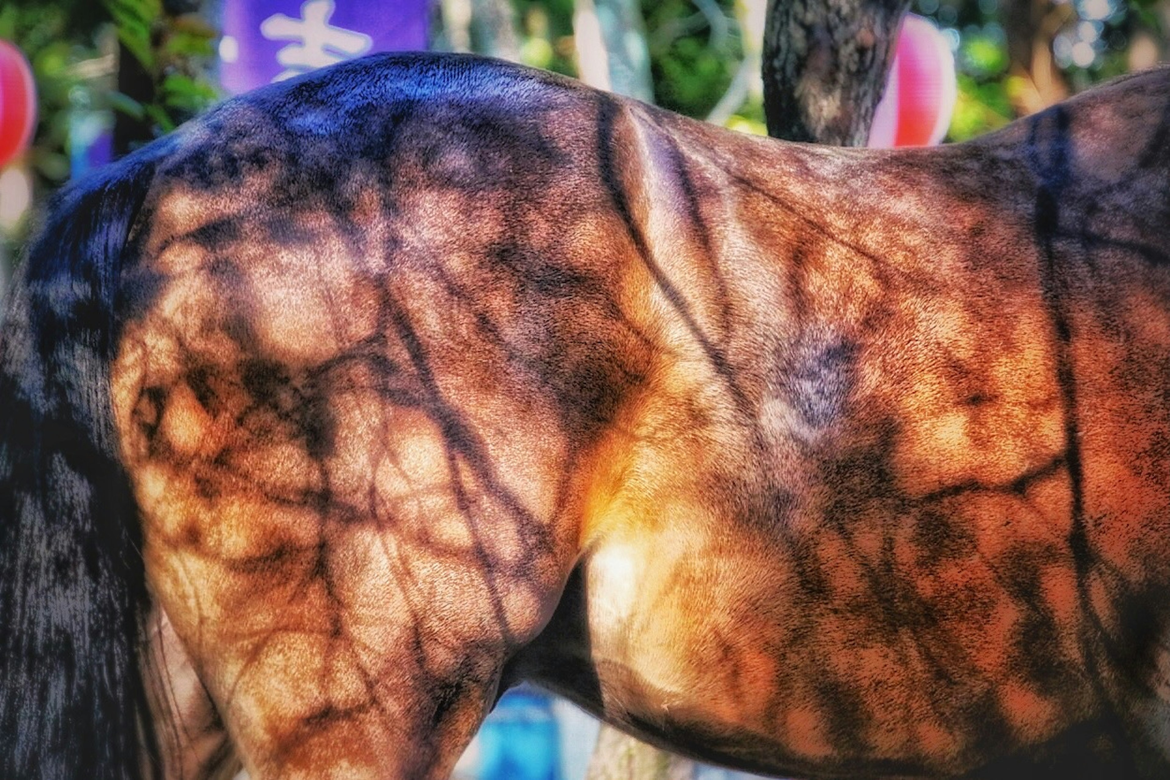 Close-up of a horse's back with intricate shadow patterns and colors