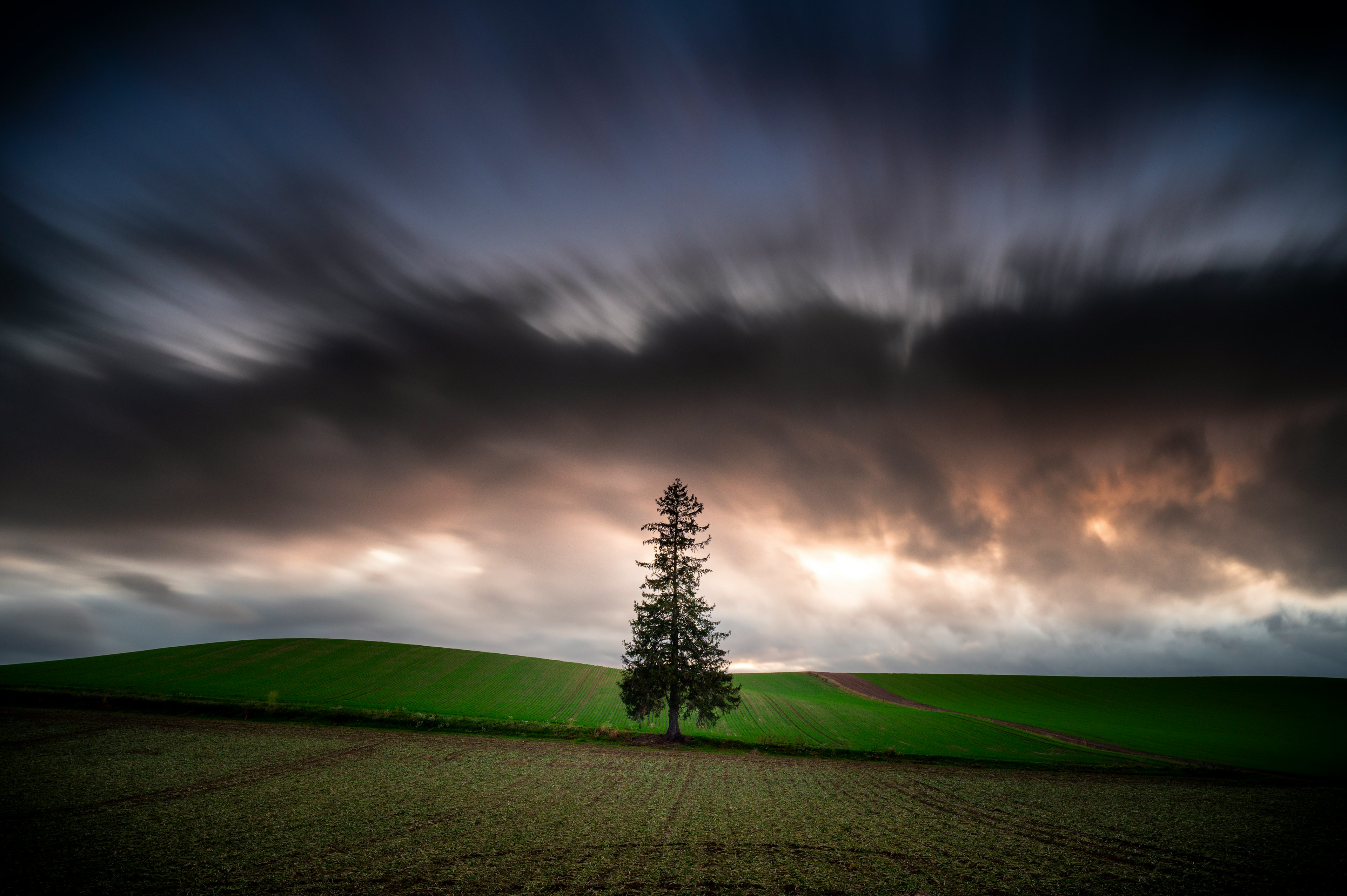 Ein einsamer Baum auf einem grünen Hügel unter einem dramatischen wolkigen Himmel