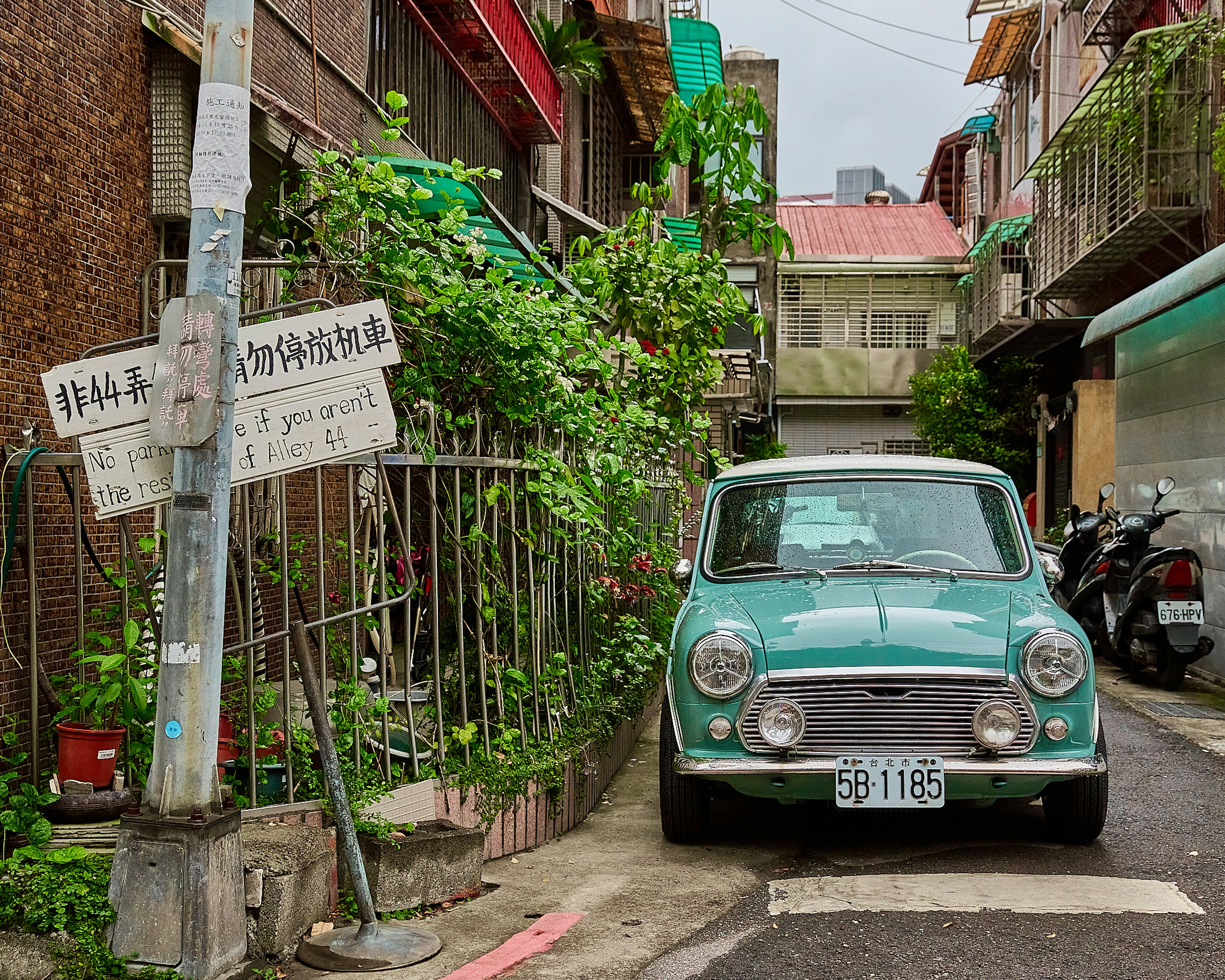 Sebuah mobil vintage hijau diparkir di jalan sempit dikelilingi oleh tanaman hijau