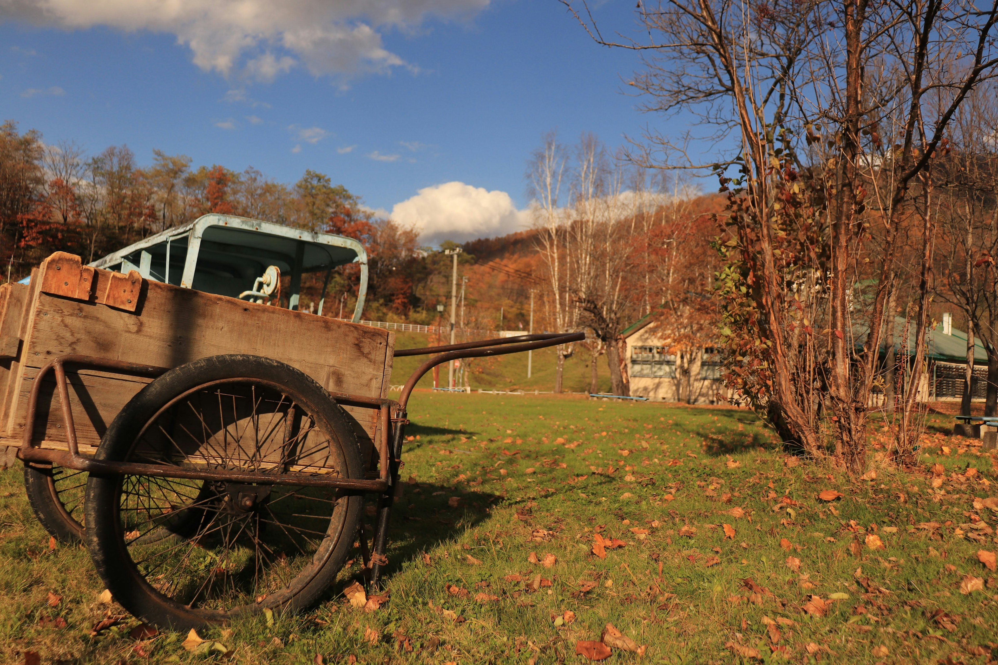 Old wheelbarrow in a countryside landscape