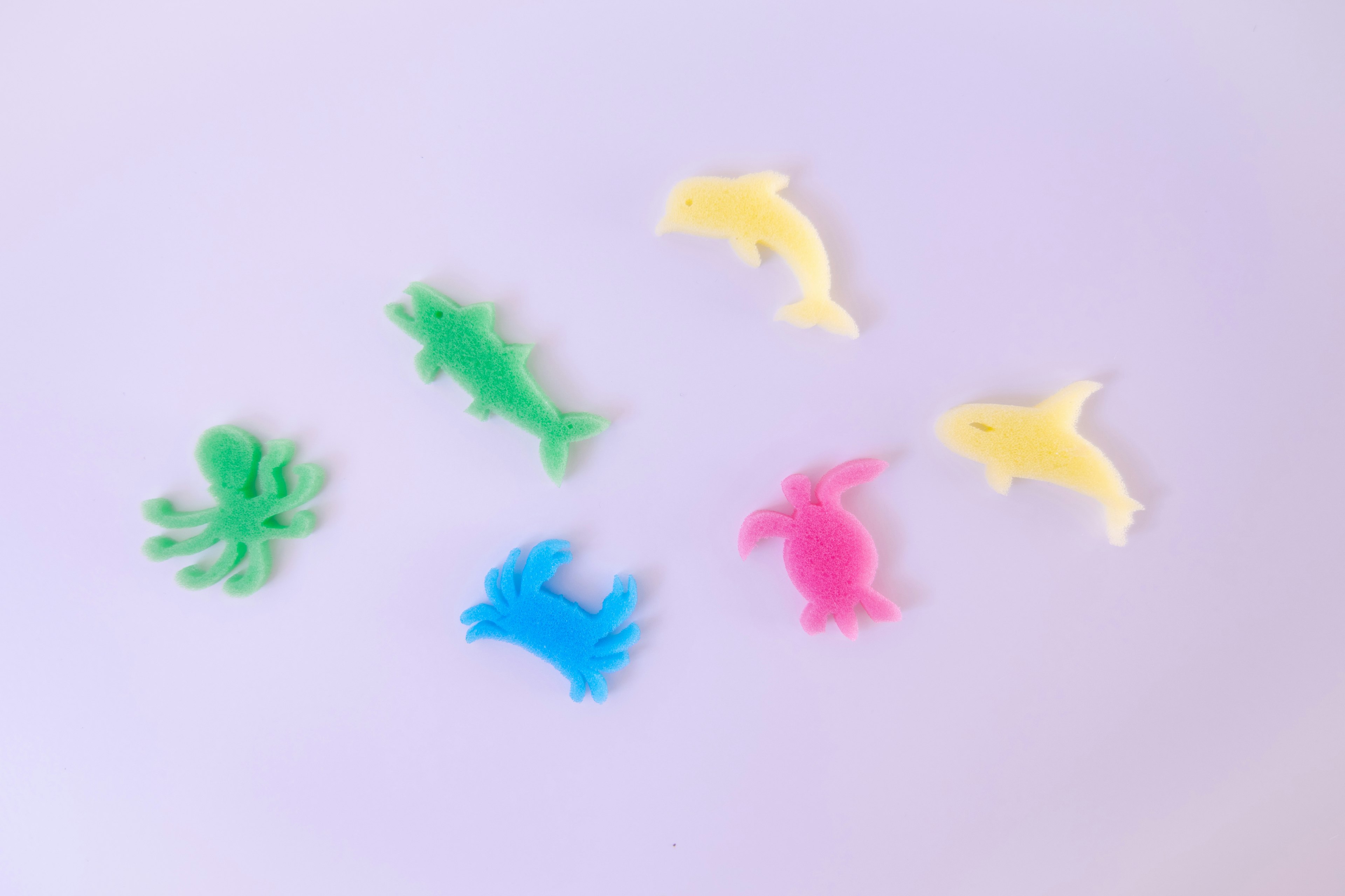 Jouets de créatures marines colorés disposés sur un fond blanc