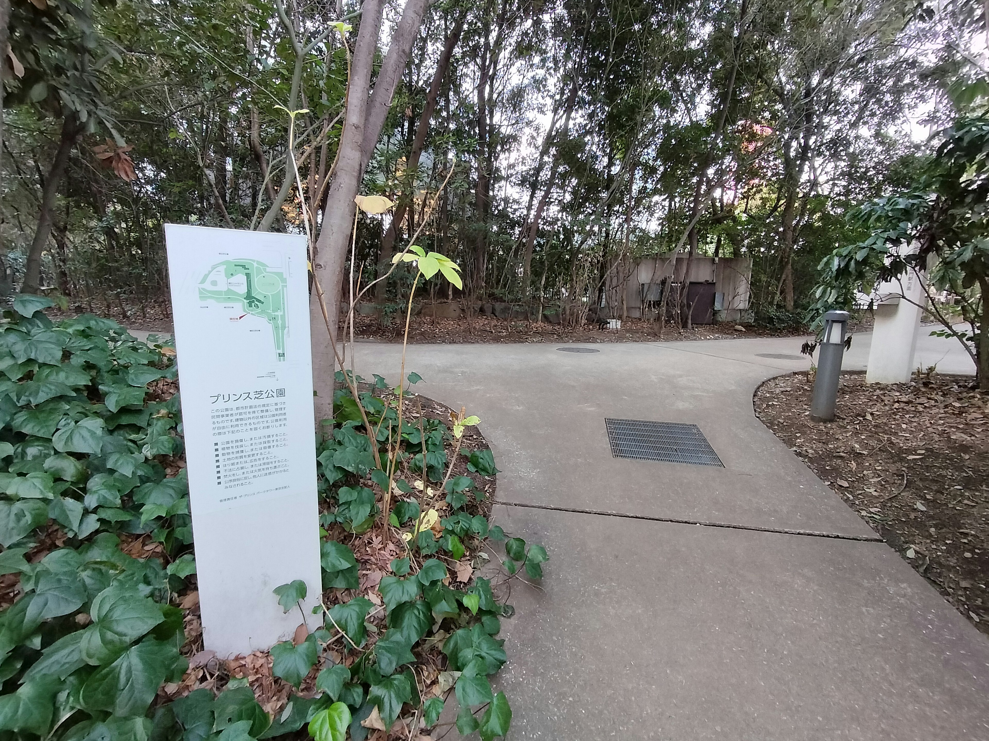 Scenic pathway with a sign surrounded by greenery