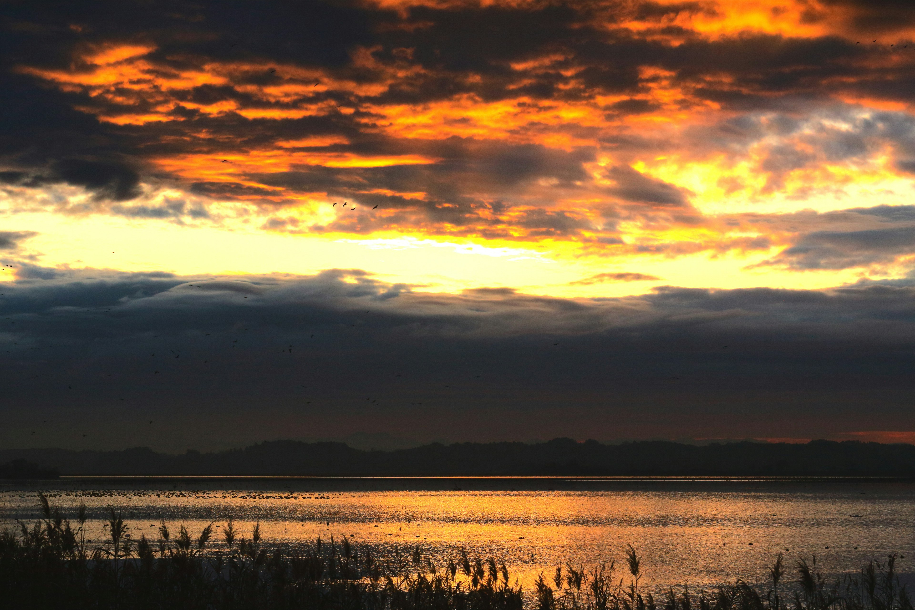 Bellissimo paesaggio al tramonto con cielo arancione riflesso sulla superficie dell'acqua e nuvole scure