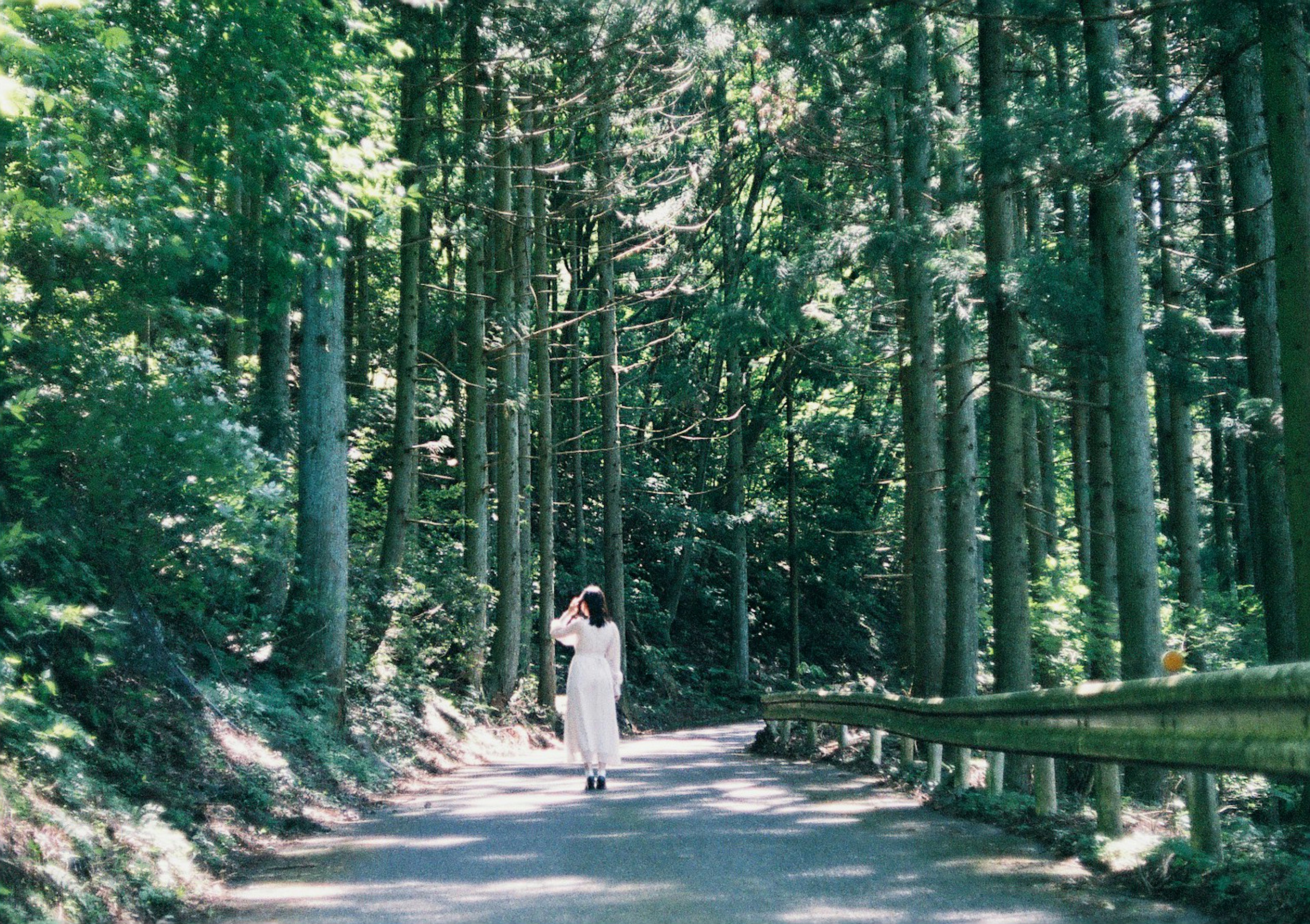 Une femme en robe blanche marchant le long d'une route forestière entourée d'arbres élancés