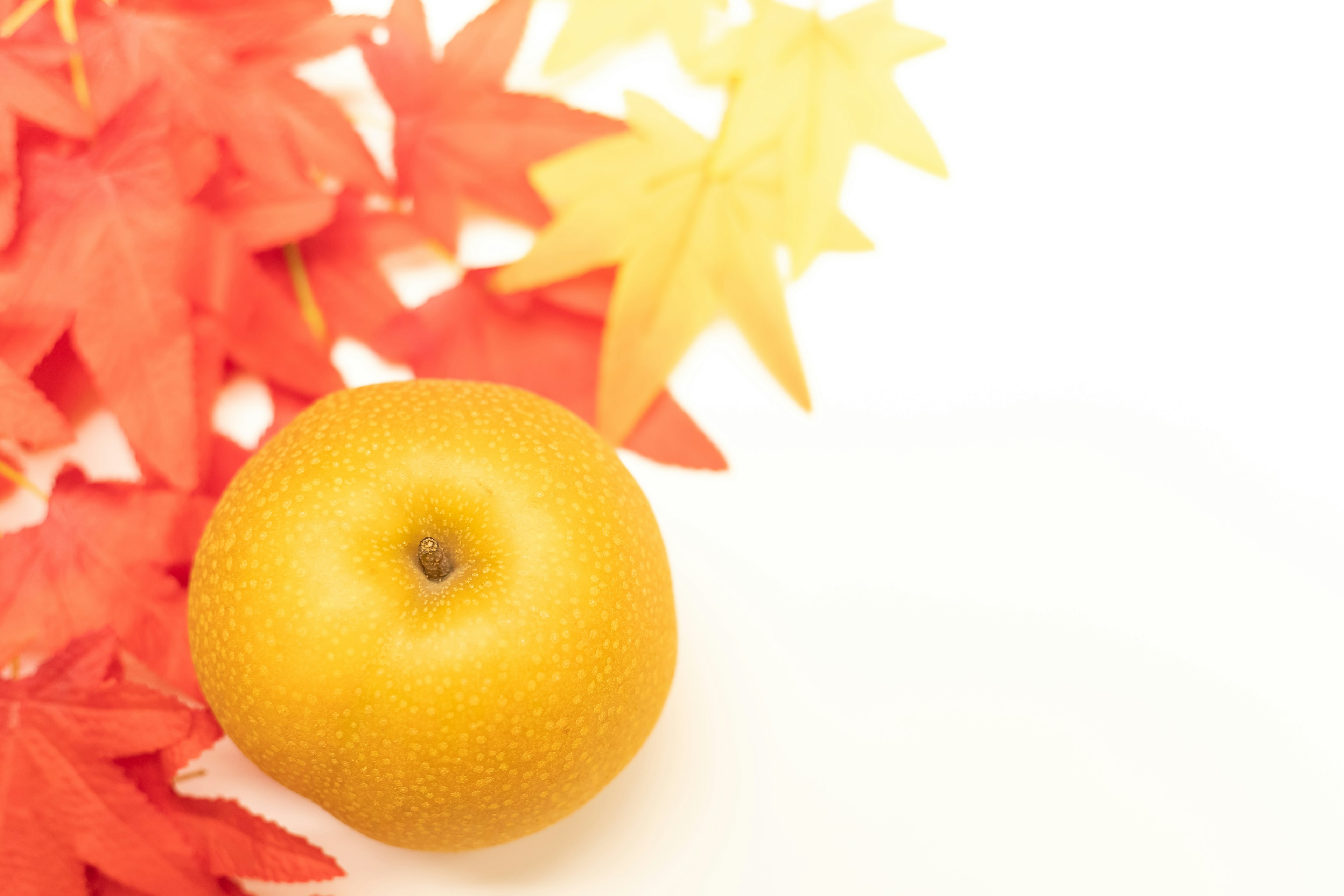 Eine gelbe Frucht umgeben von roten und gelben Herbstblättern