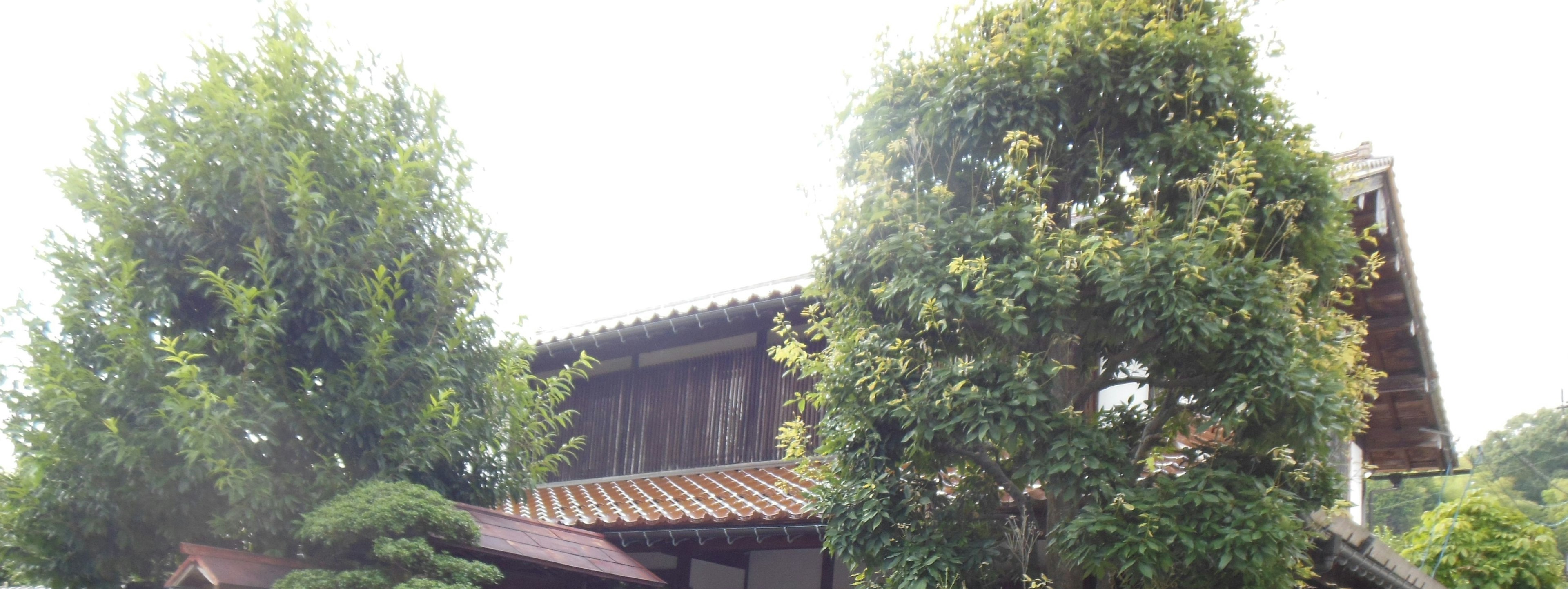 Traditional Japanese house surrounded by green trees