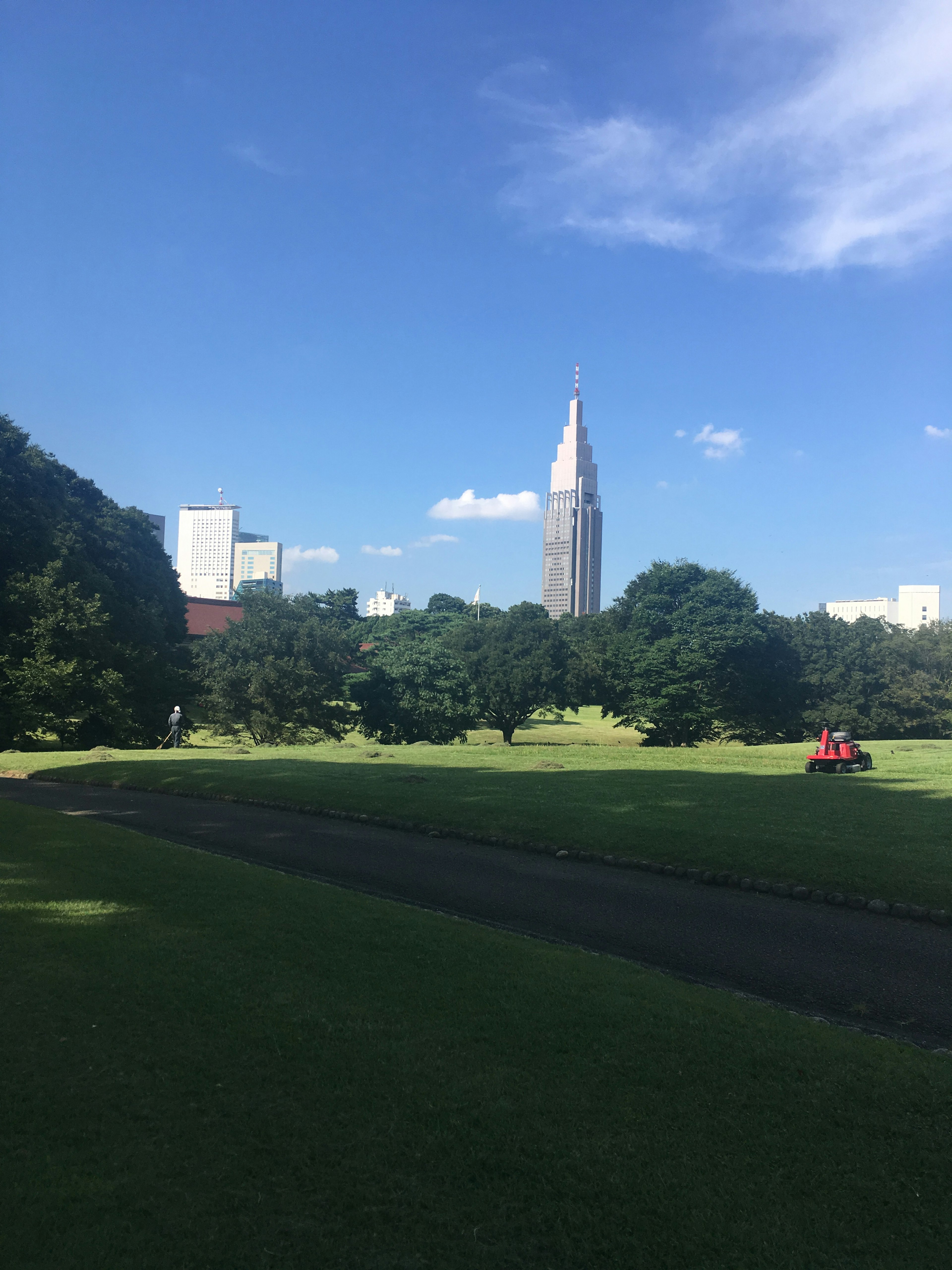 公園景觀，背景是新宿的摩天大樓和晴朗的藍天