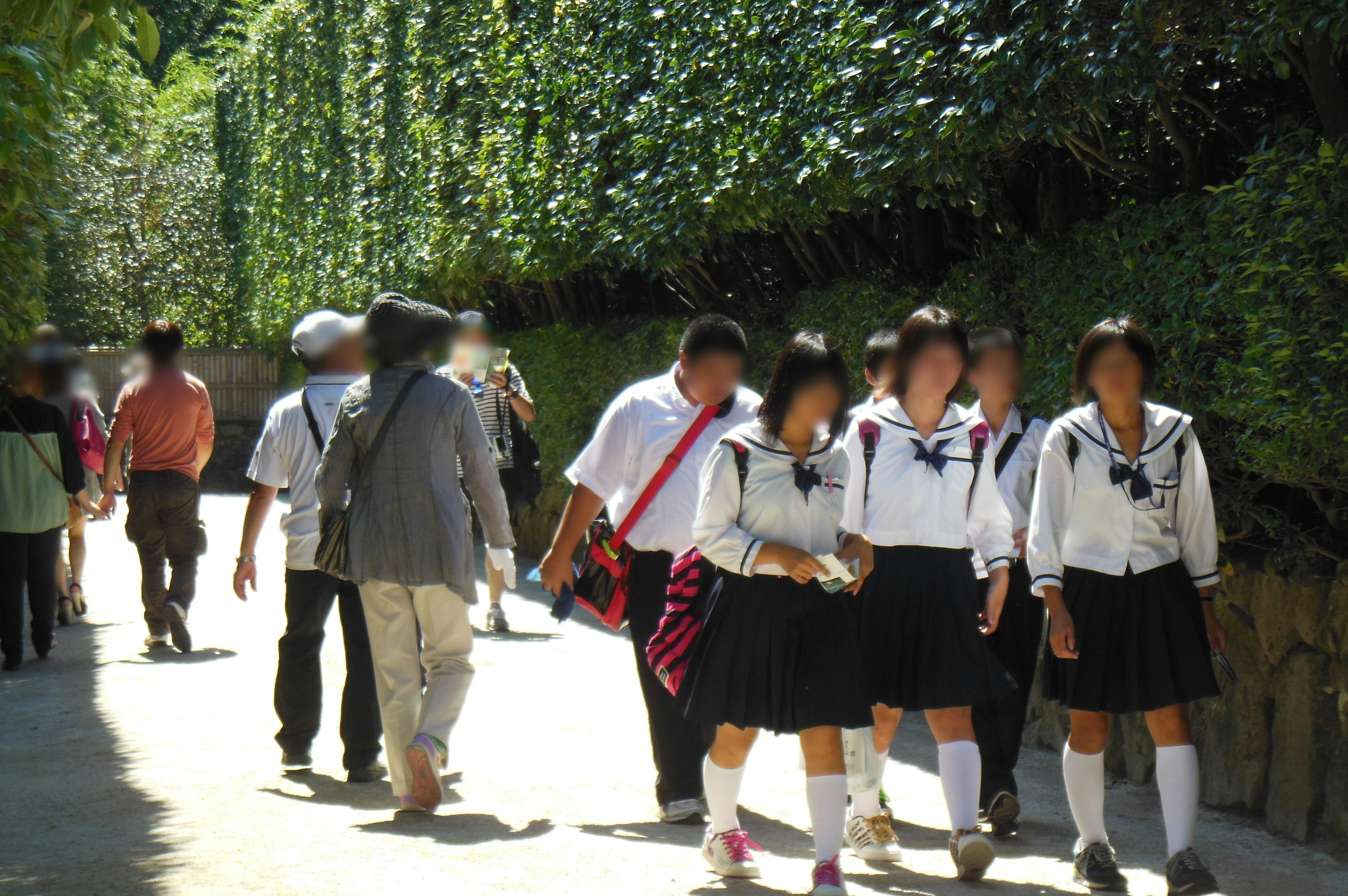 Students and tourists walking in front of a green wall