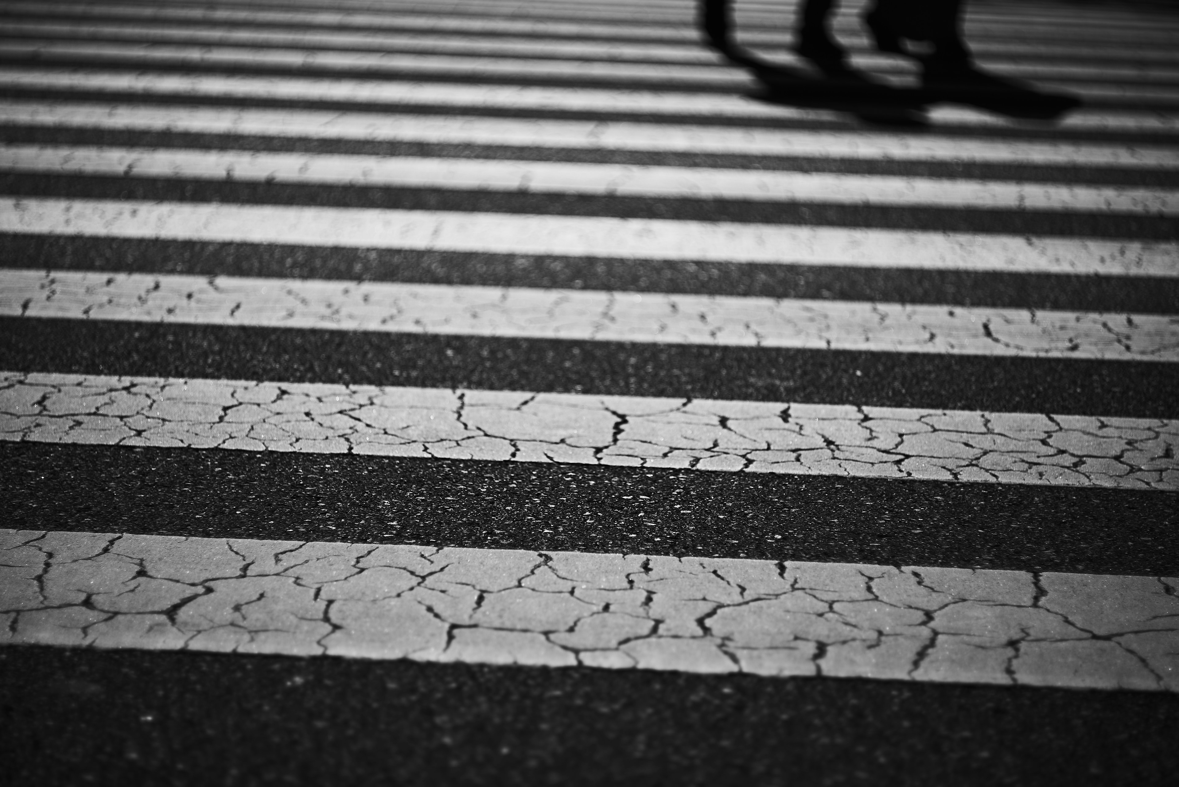 Ombres de personnes marchant sur un passage piéton noir et blanc