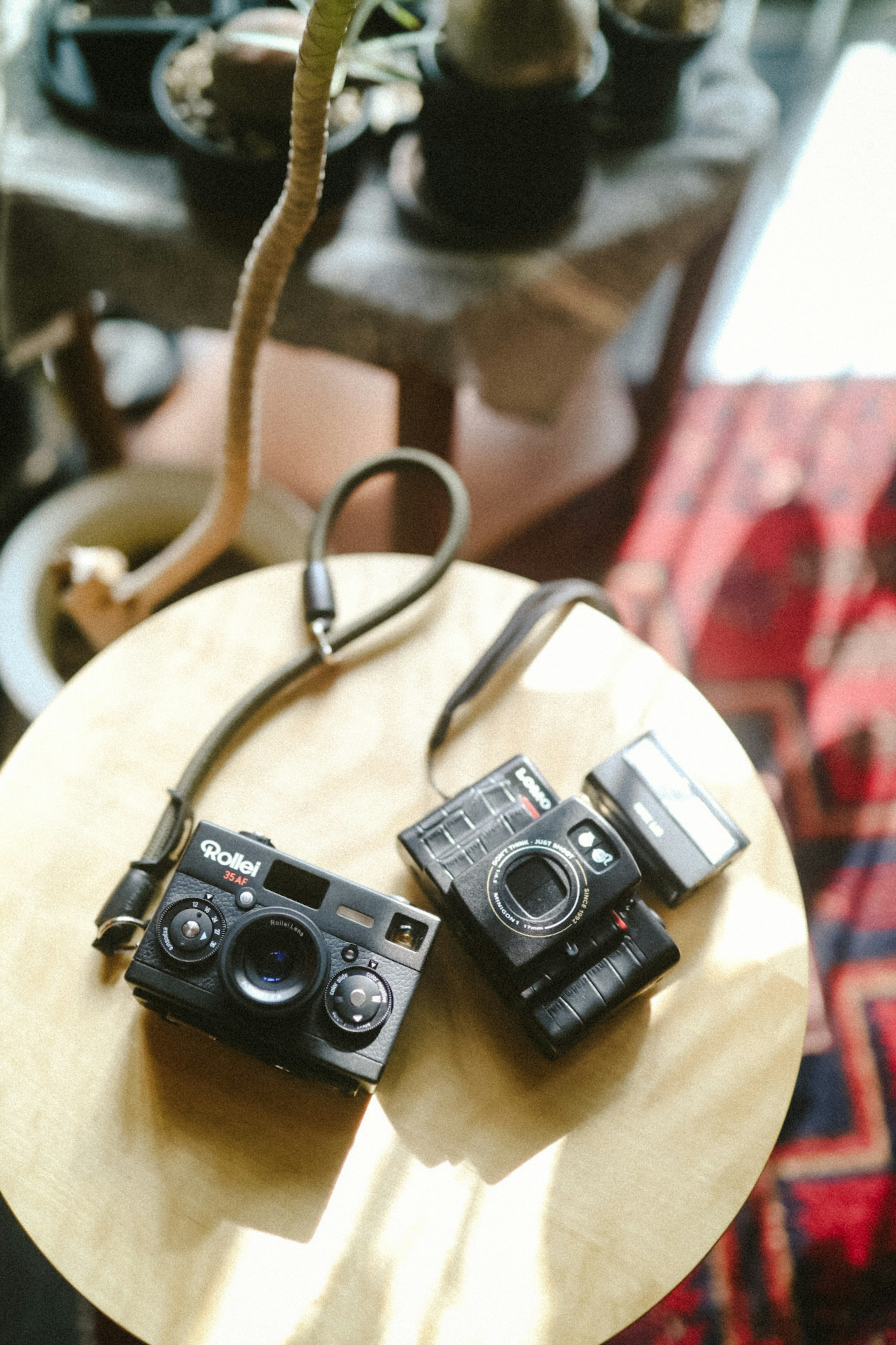 Two cameras placed on a round table with unique plants and colorful carpet in the background