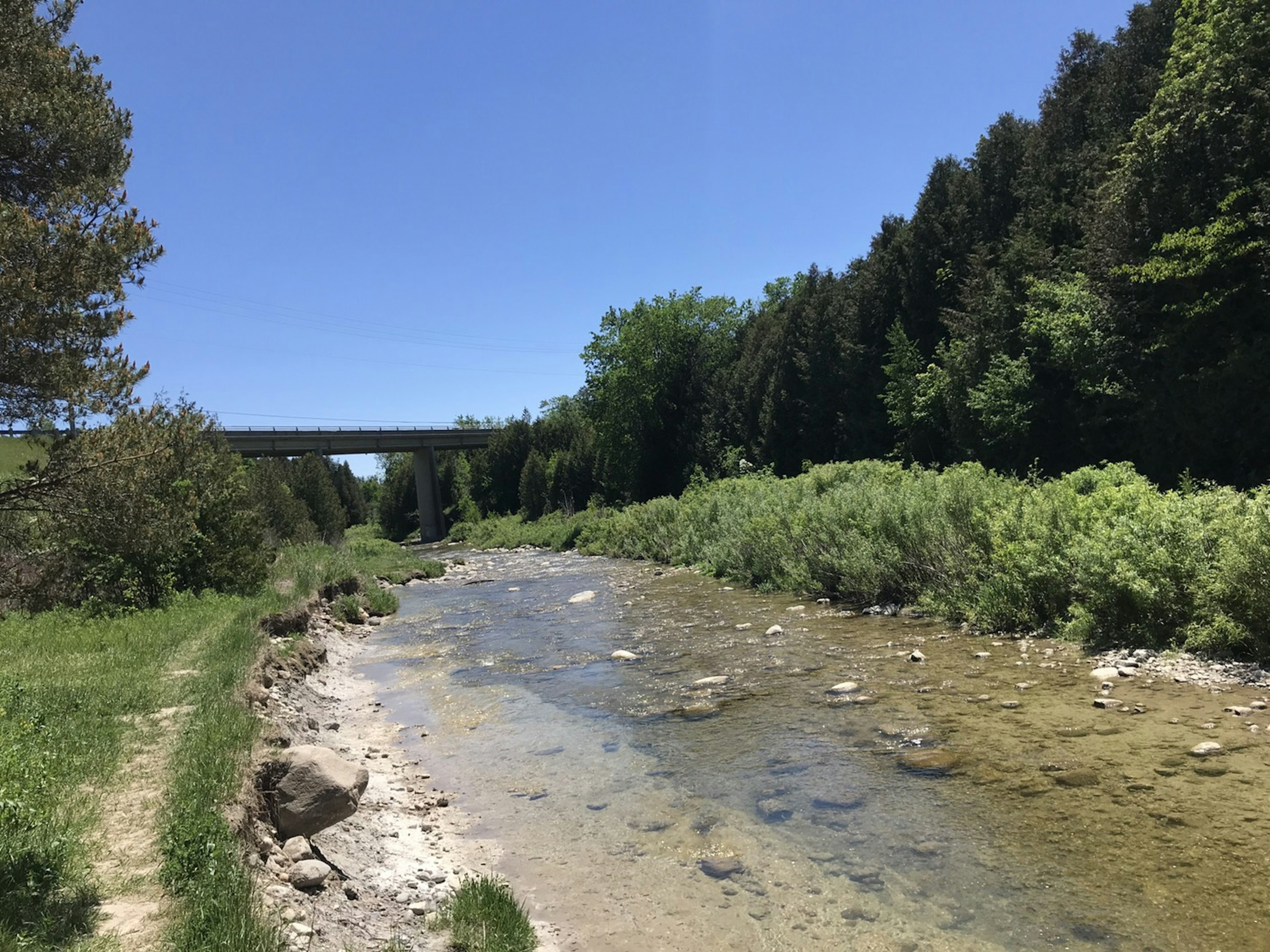 Ruhige Flusslandschaft umgeben von grünen Bäumen und blauem Himmel