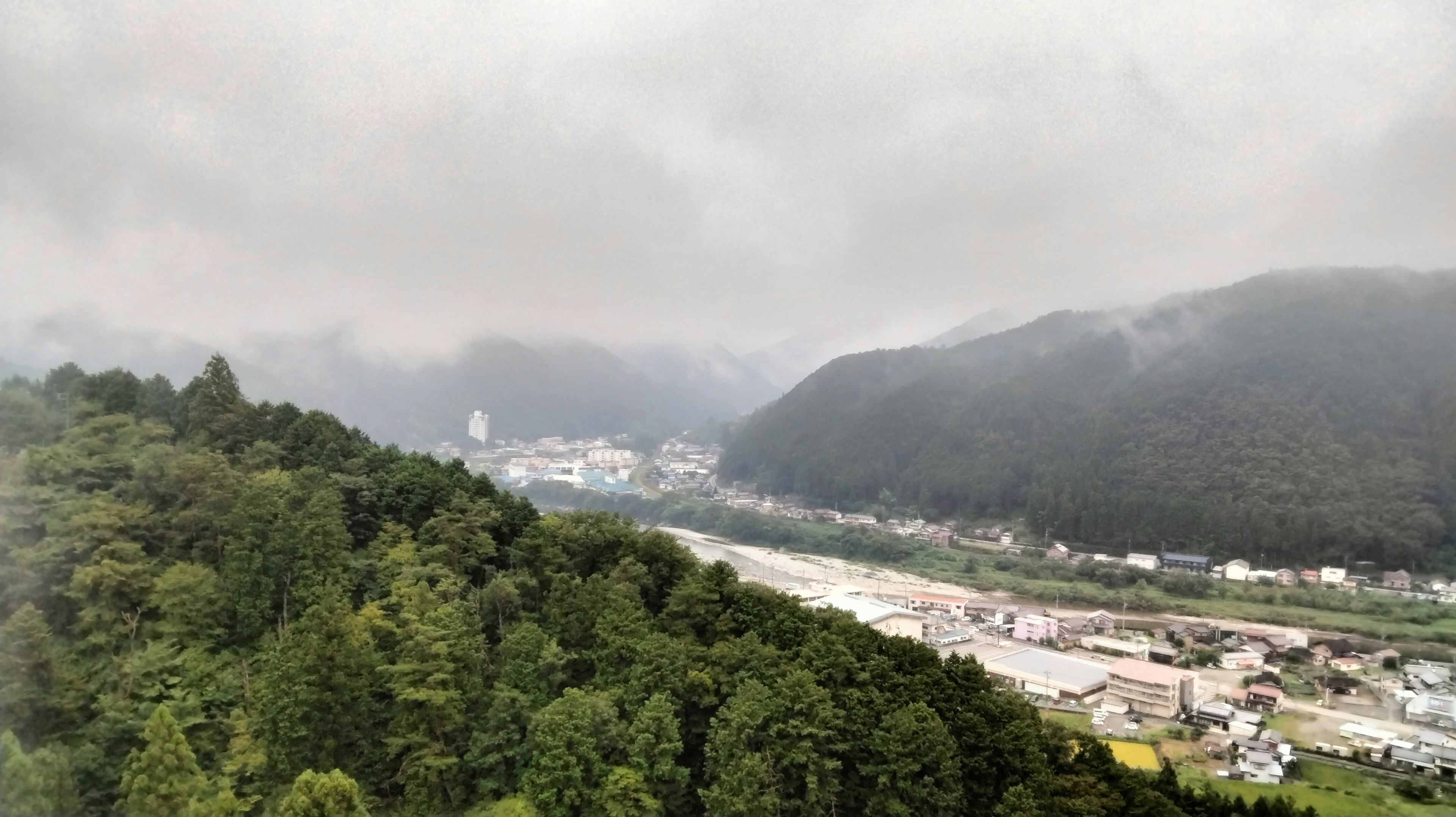 Paesaggio di montagne nebbiose e foresta verdeggiante