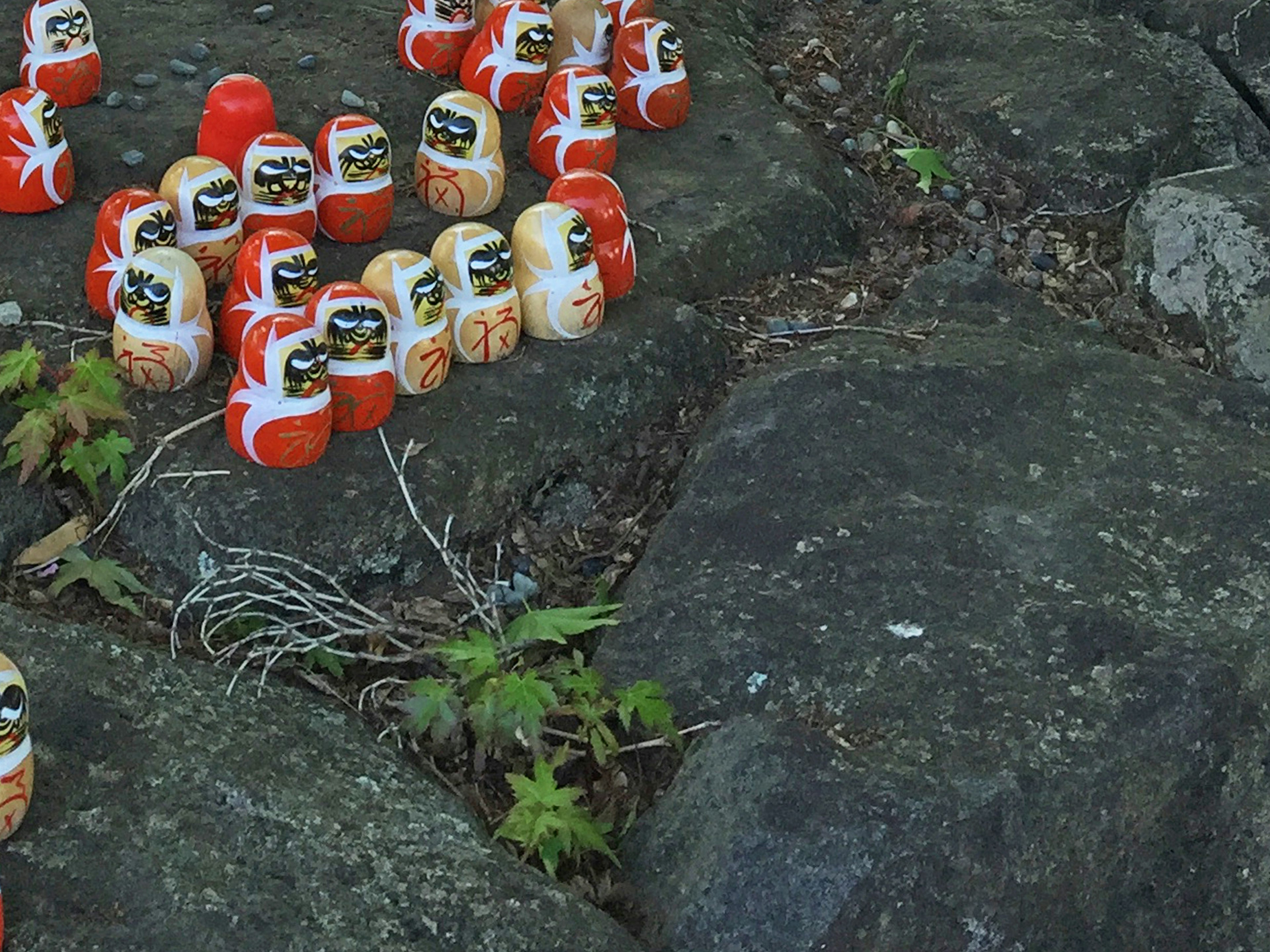 Eine Sammlung von Daruma-Puppen, die auf einer Steinoberfläche angeordnet sind