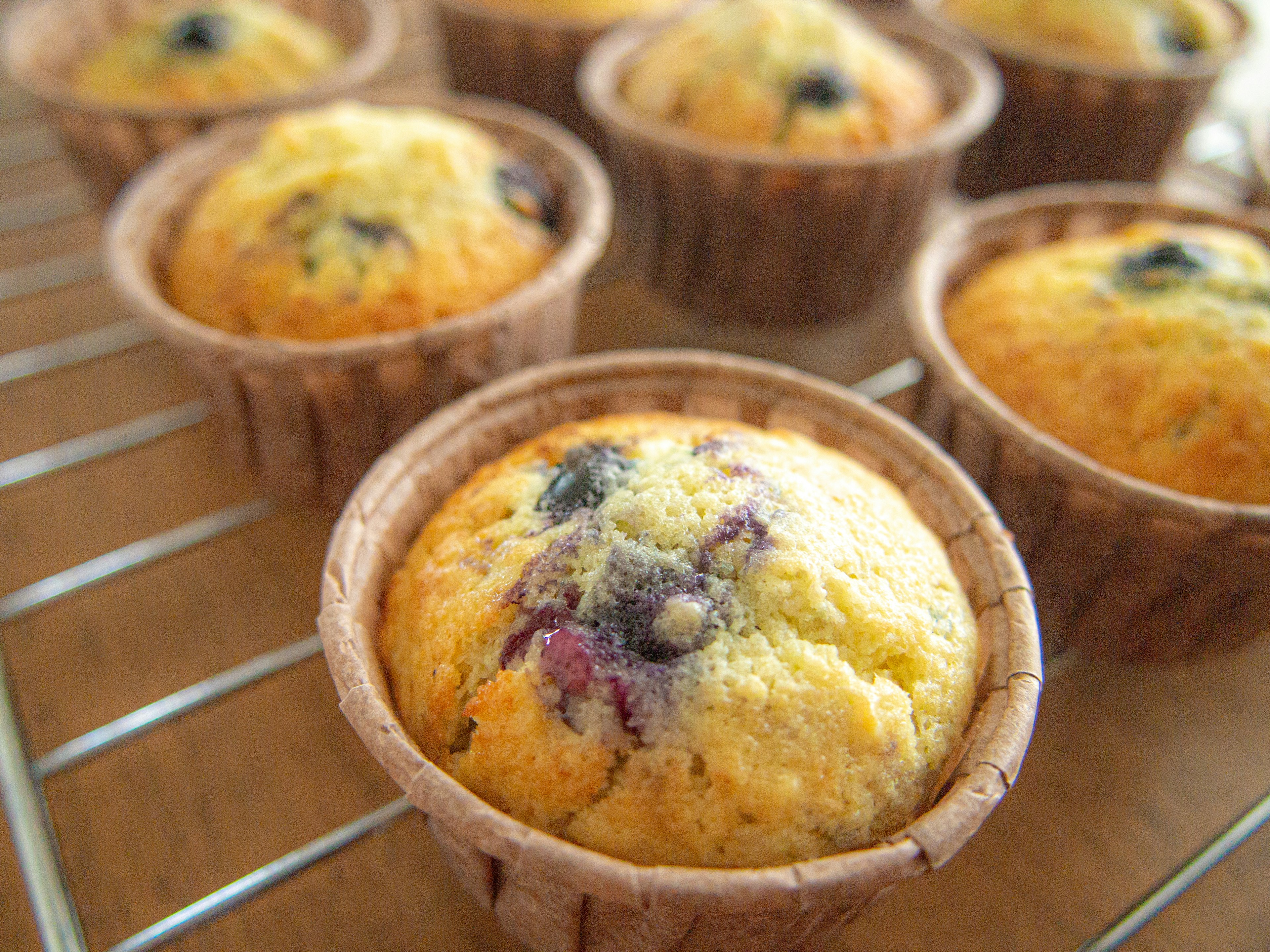 Muffin ai mirtilli appena sfornati disposti su una griglia di raffreddamento