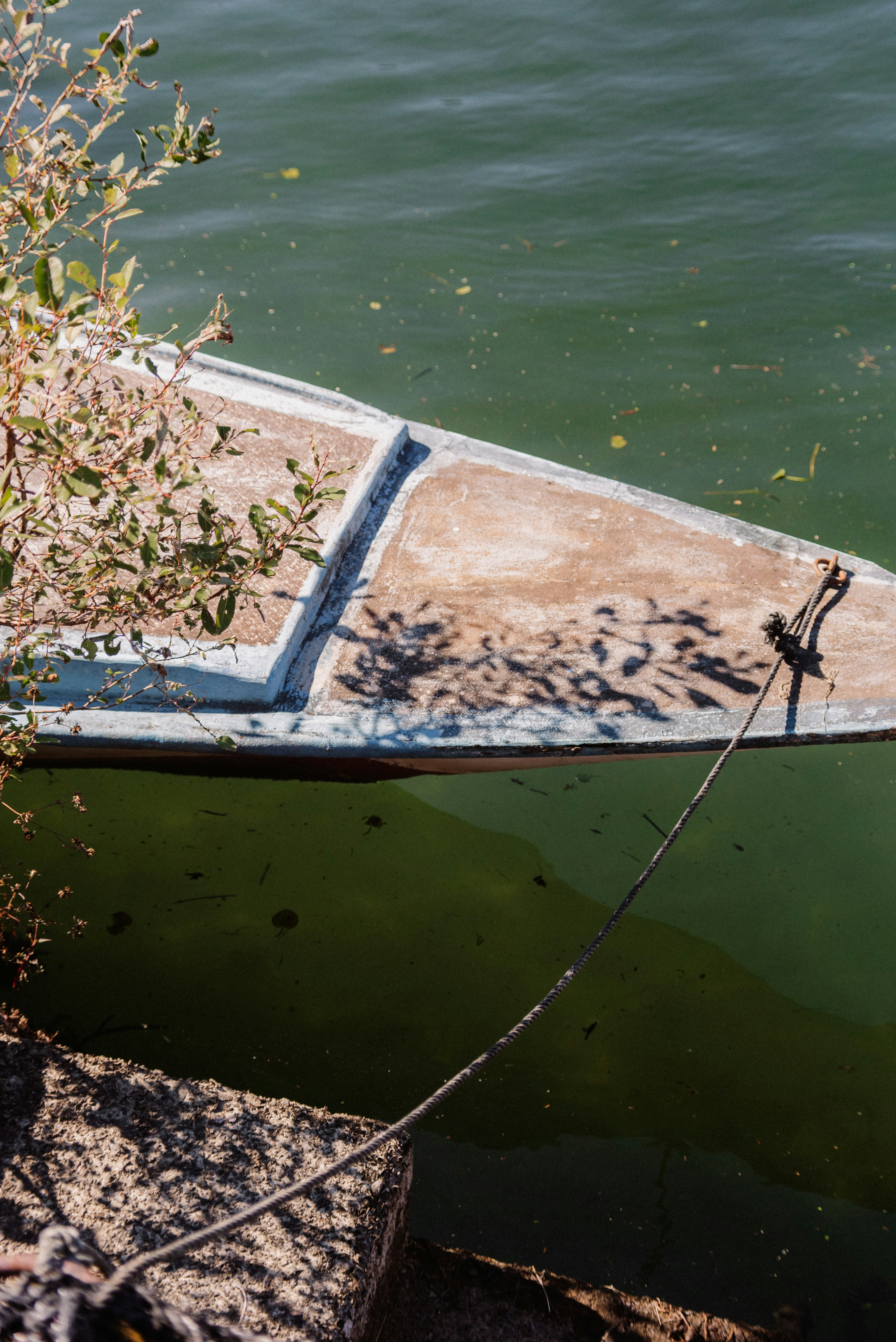 Detail of an old boat floating near the water's edge