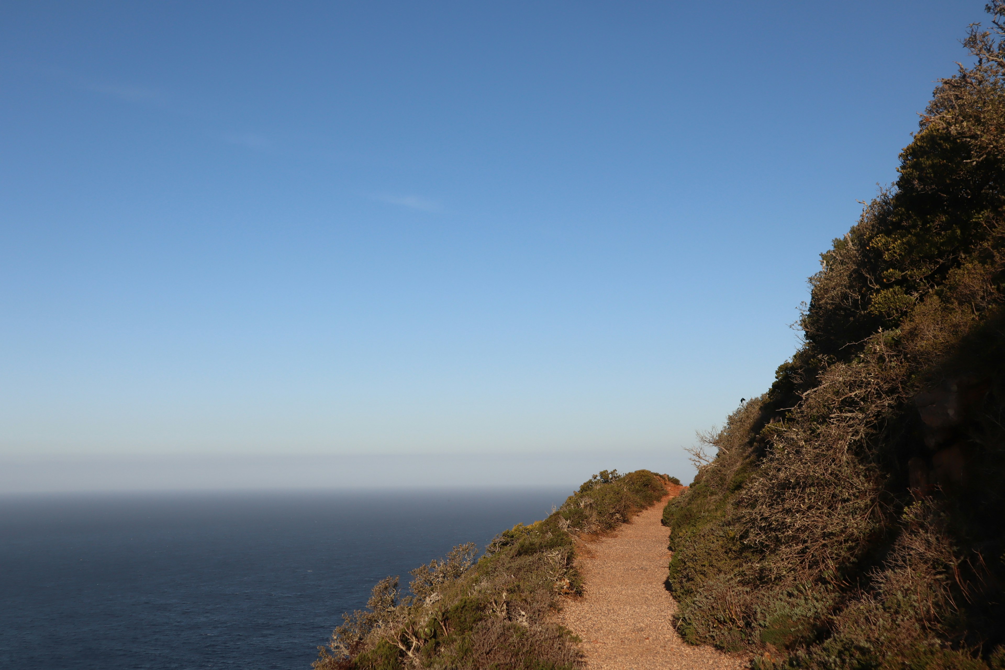 Scenic coastal trail with blue sky and ocean view