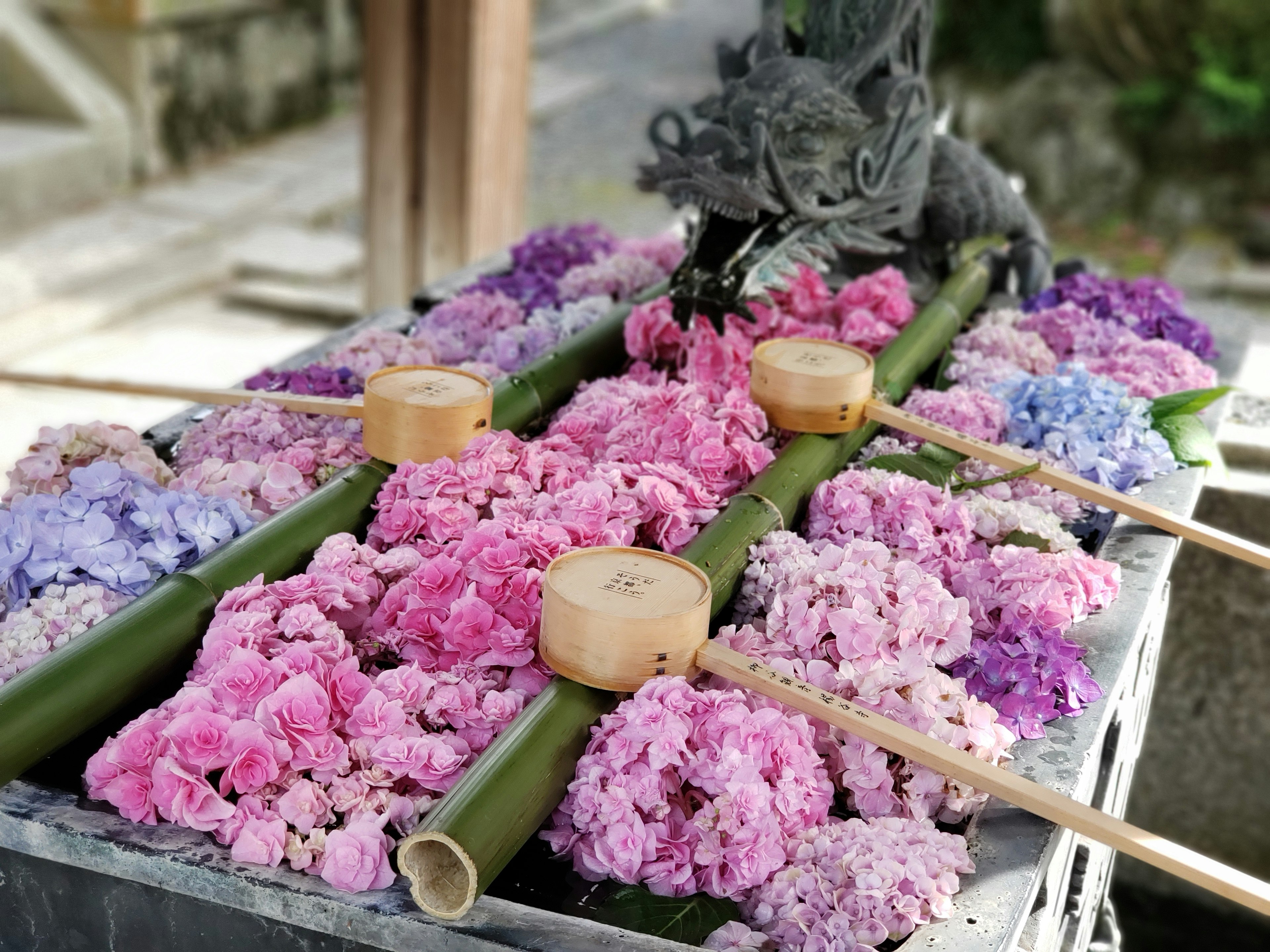 Un bac pieno di fiori colorati e bambù, con una scultura di leone sullo sfondo