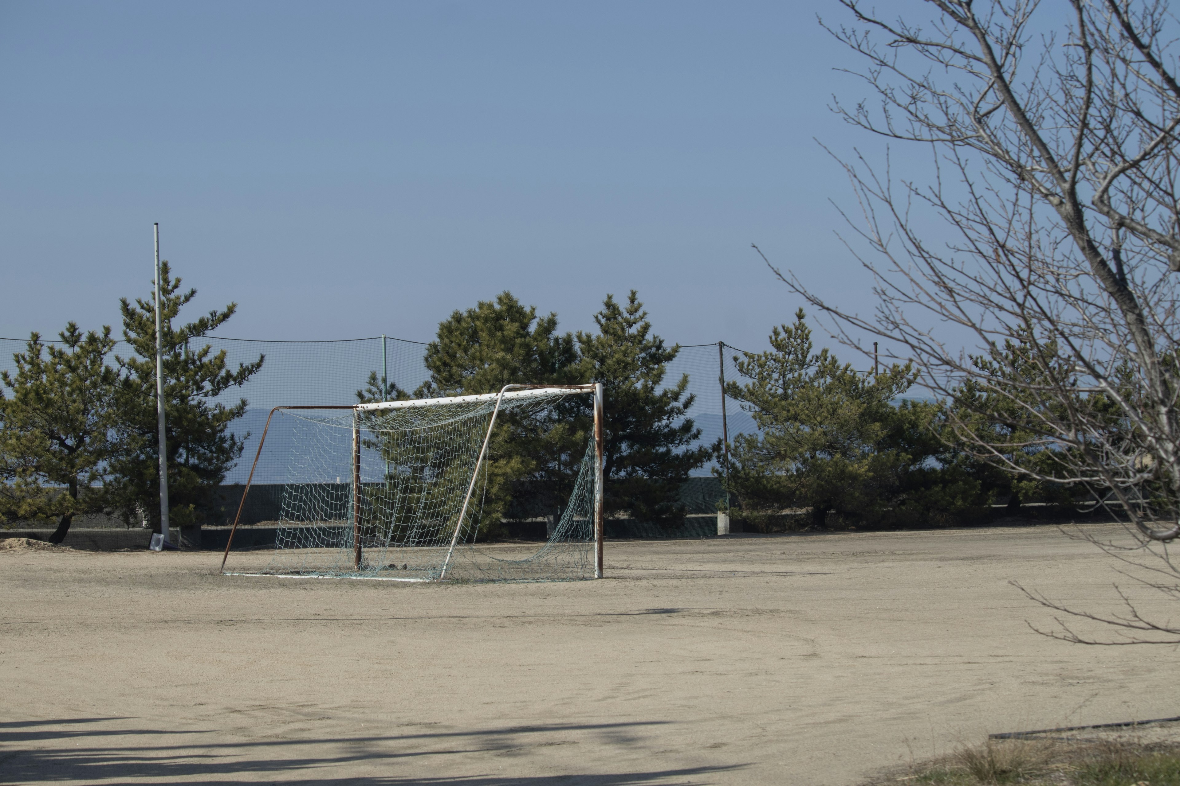 A peaceful park scene featuring a soccer goal and pine trees