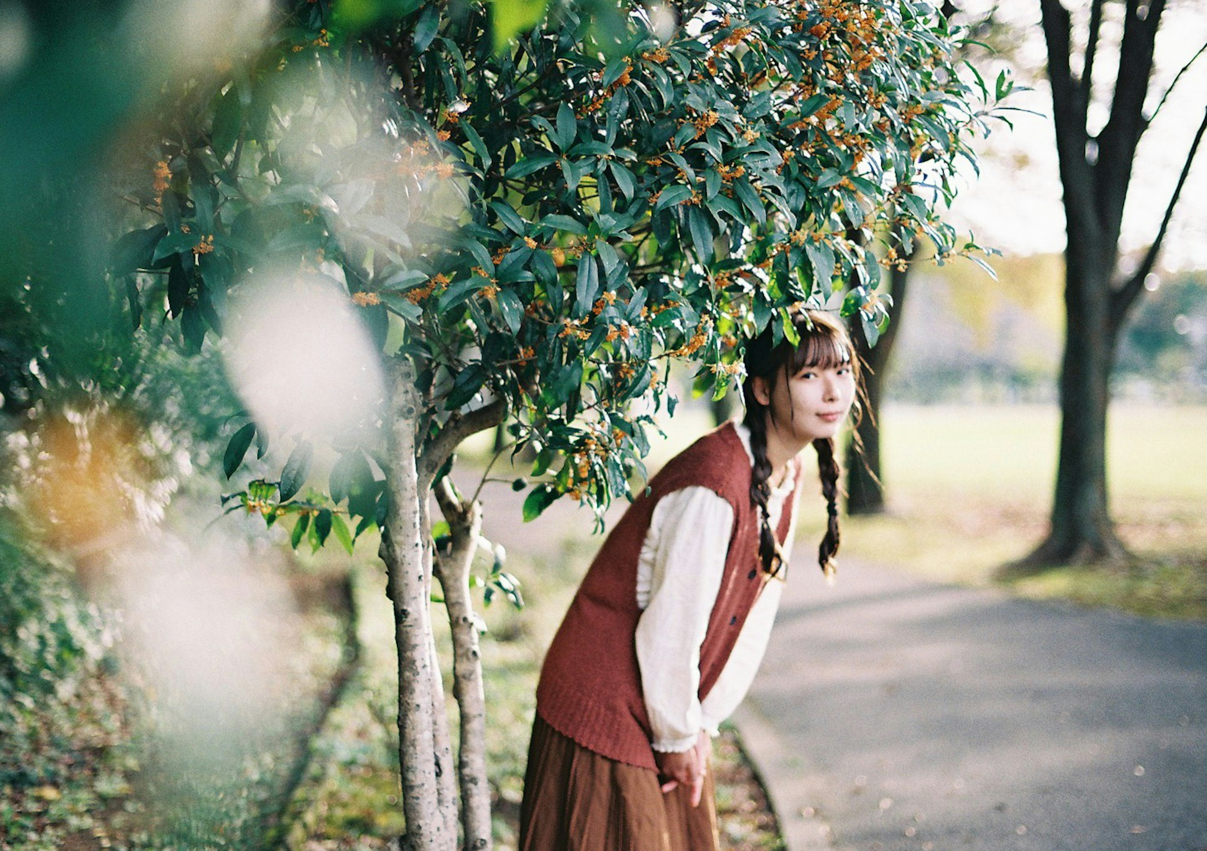 若い女性が木の陰から顔を出している風景