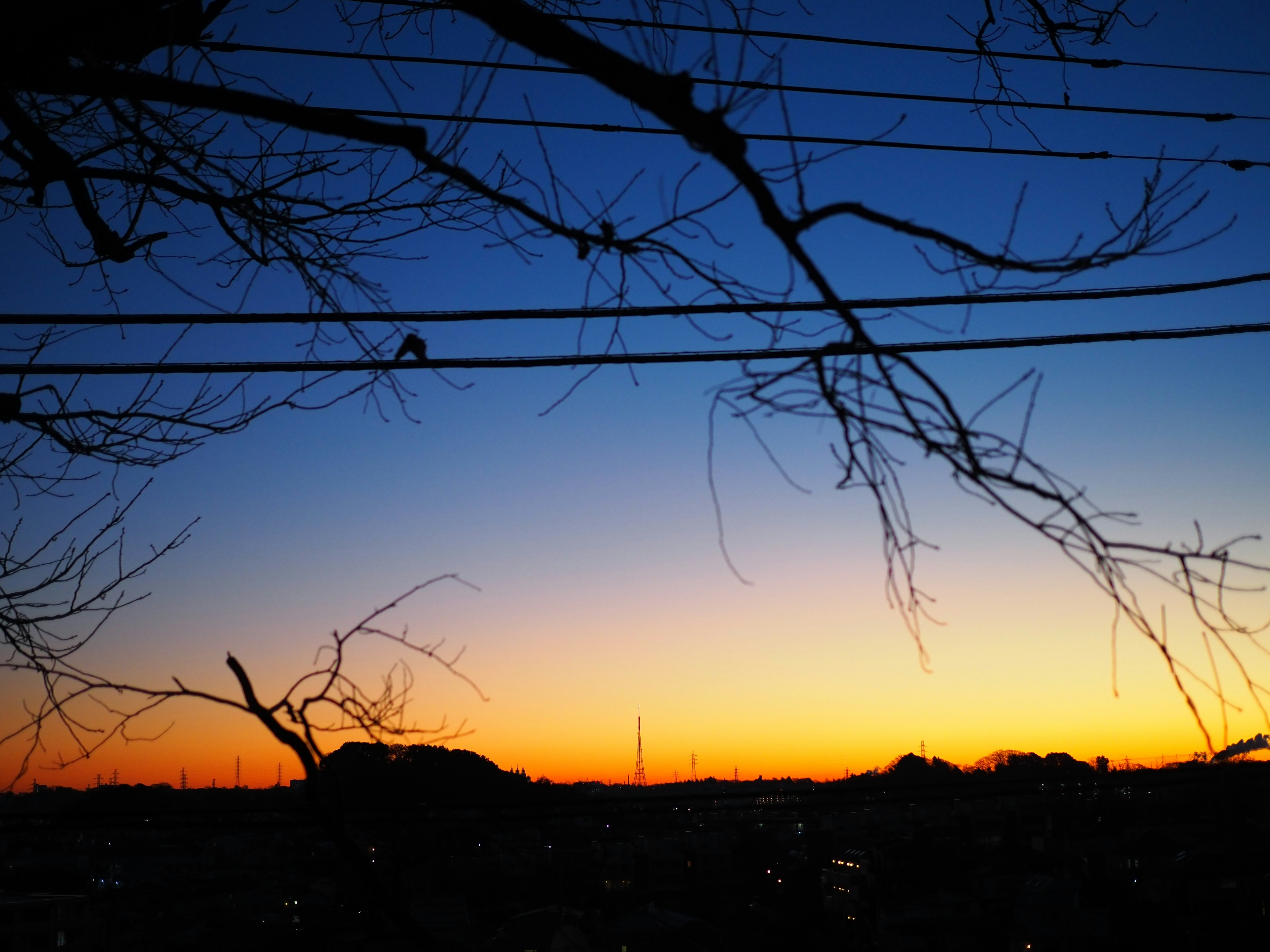 夕焼けの空と木の枝が見える風景