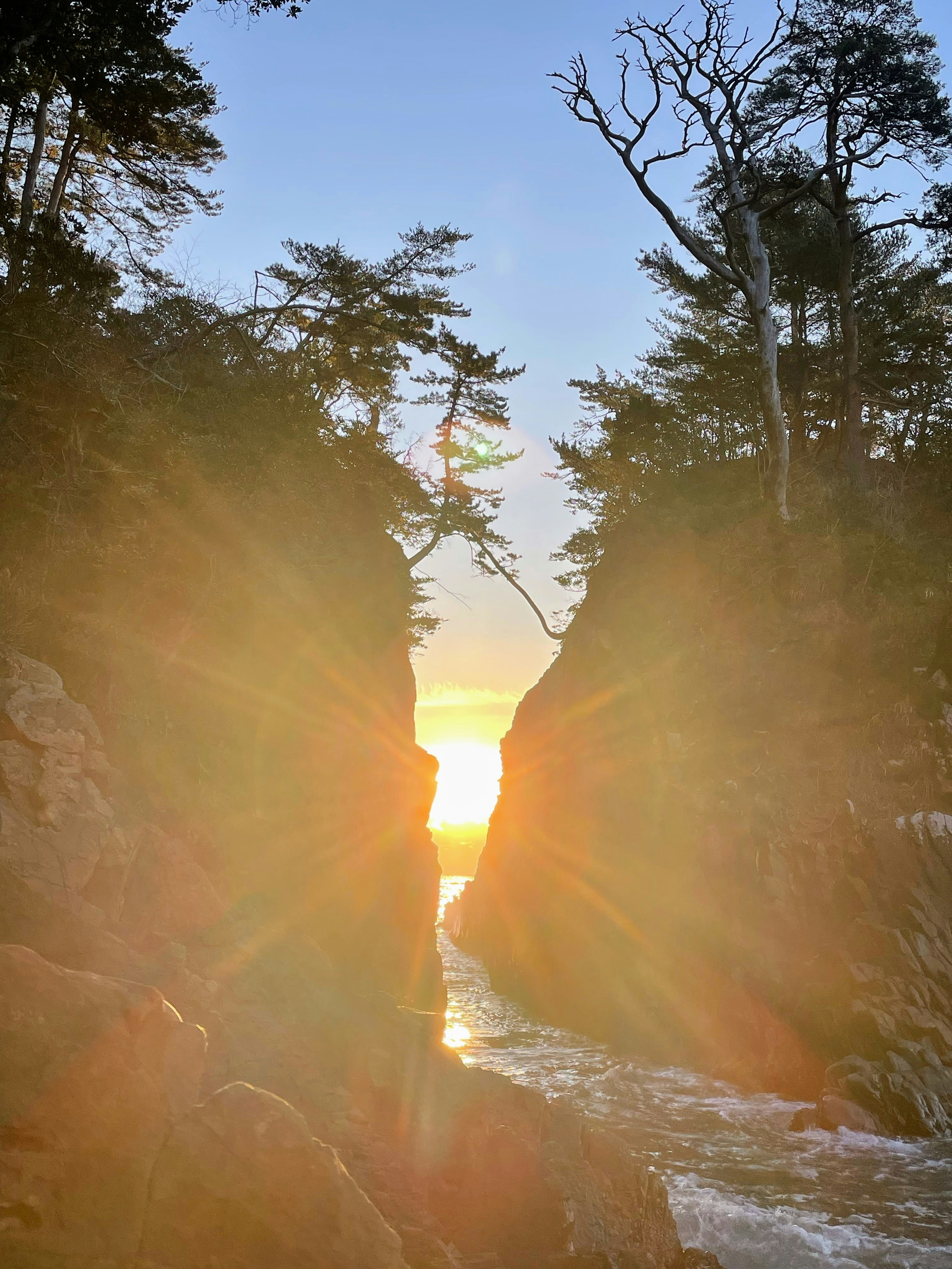 Sonnenlicht, das durch eine Schlucht strömt, mit Ozean und Bäumen sichtbar